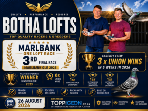 ACTIVE AUCTION - BOTHA LOFTS - FROM 24 AUGUST TO WEDNESDAY 26 AUGUST 2026 (ENDING FROM 20:00)
