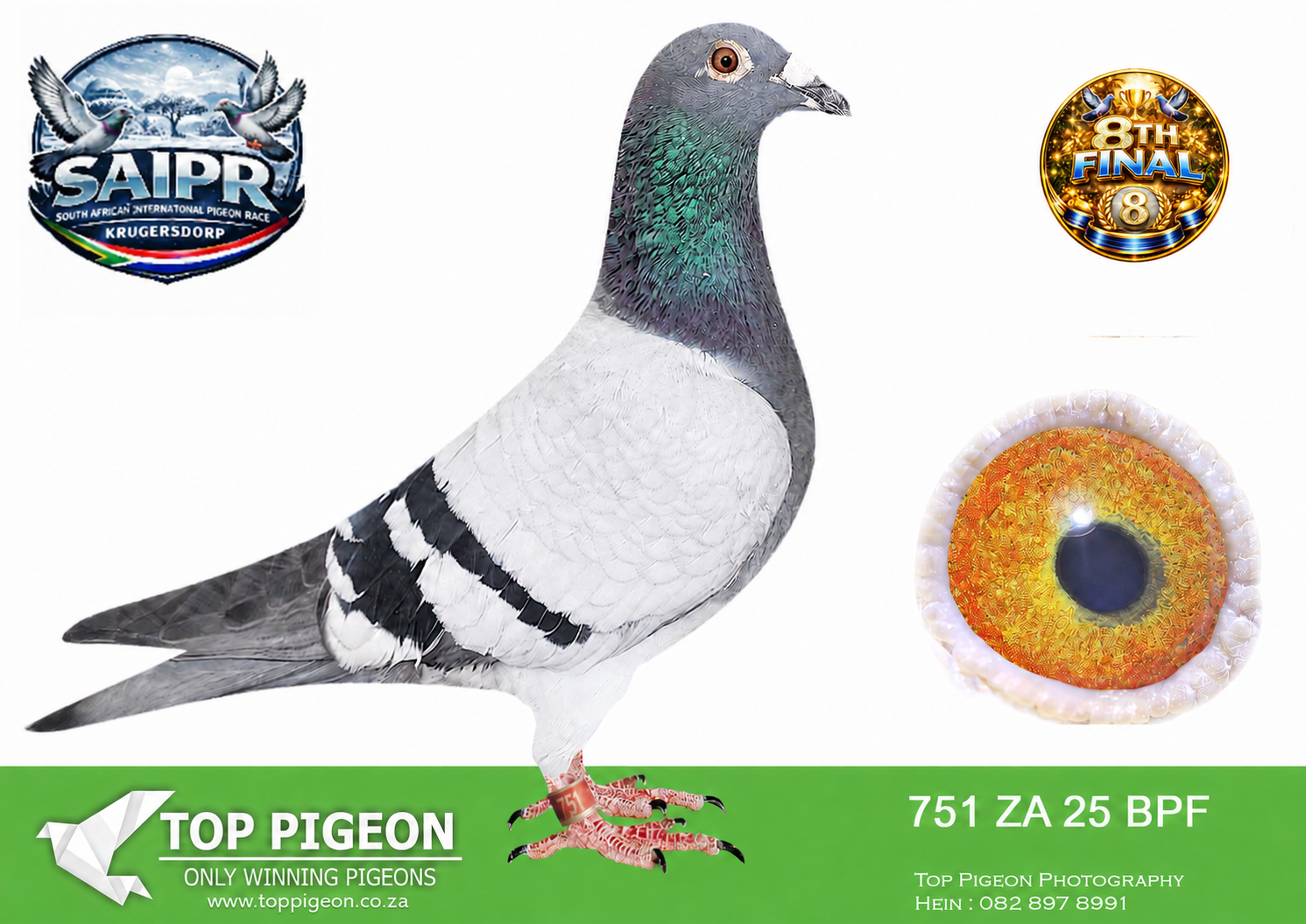 LOT 45 SAIPR WINTER OLR – JJJ v/d Linde & Ben van Rooyen-ZA BPF 751 2025 -8TH FINAL————SIRE:2943 BPFD 22 ZA Alias “JJ’S TURF KING” Strain: JJ Van Der Linde Color: Blue Bar 1ST ACE BIRD OVERALL BLOEMFONTEIN FEDERATION 2023,HIS FULL BROTHER 2942 BPF/D’22 2ND ACE BIRD MIDDLE DISTANCE BLOEMFONTEIN FEDERATION 2023 2ND BLOEM FEDERATION 600KM 1451 M/M 2024.———DAM: 964 BPF 21 Strain: JJJ Van Der Linde Colour: Blue Bar Bred from a click pair. Full sister to 0316 BPF/D’18, a 5× winner, and 5807 BPF/D’20, a Bloemfontein Federation Combine Winner.SEE PEDIGREE!!!