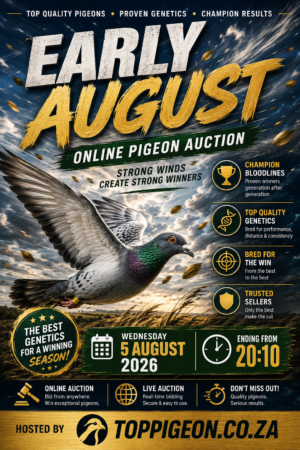 ACTIVE AUCTION - EARLY AUGUST - FROM 3 AUGUST TO WEDNESDAY 5 AUGUST 2026 (ENDING FROM 20:10)