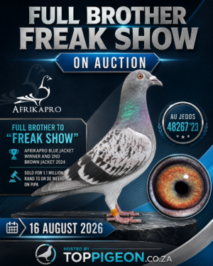 ACTIVE AUCTION - FULL BROTHER FREAK SHOW - FROM 13 AUGUST TO SUNDAY 16 AUGUST 2026 (ENDING 14:15)