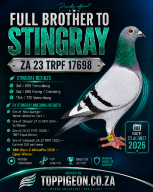 ACTIVE AUCTION - FULL BROTHER STINGRAY - FROM 21 AUGUST TO SUNDAY 23 AUGUST 2026 (ENDING 16:00)