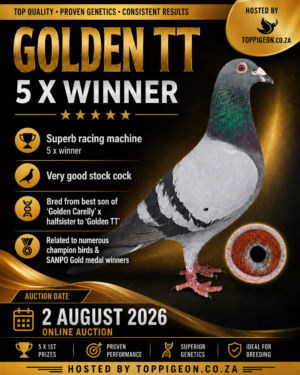ACTIVE AUCTION - GOLDEN TT 5 X WINNER - FROM 1 AUGUST TO SUNDAY 2 AUGUST 2026 (ENDING 16:10)