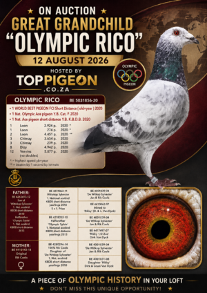 ACTIVE AUCTION - GREAT GRANDCHILD OLYMPIC RICO - FROM 10 AUGUST TO SUNDAY 12 AUGUST 2026 (ENDING 20:10)