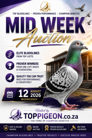 UPCOMING AUCTION - MID WEEK AUCTION - FROM 10 AUGUST TO WEDNESDAY 12 AUGUST 2026 (ENDING FROM 20:15)