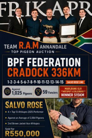 ACTIVE AUCTION - R.A.M ANNANDALE - FROM 6 AUGUST TO SUNDAY 9 AUGUST 2026 (ENDING FROM 15:10)