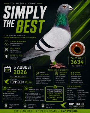 ACTIVE AUCTION - SIMPLY THE BEST - FROM 3 AUGUST TO WEDNESDAY 5 AUGUST 2026 (ENDING 20:00)