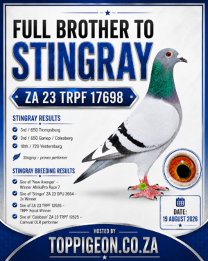 ACTIVE AUCTION - FULL BROTHER STINGRAY - FROM 17 AUGUST TO WEDNESDAY 19 AUGUST 2026 (ENDING 20:50)