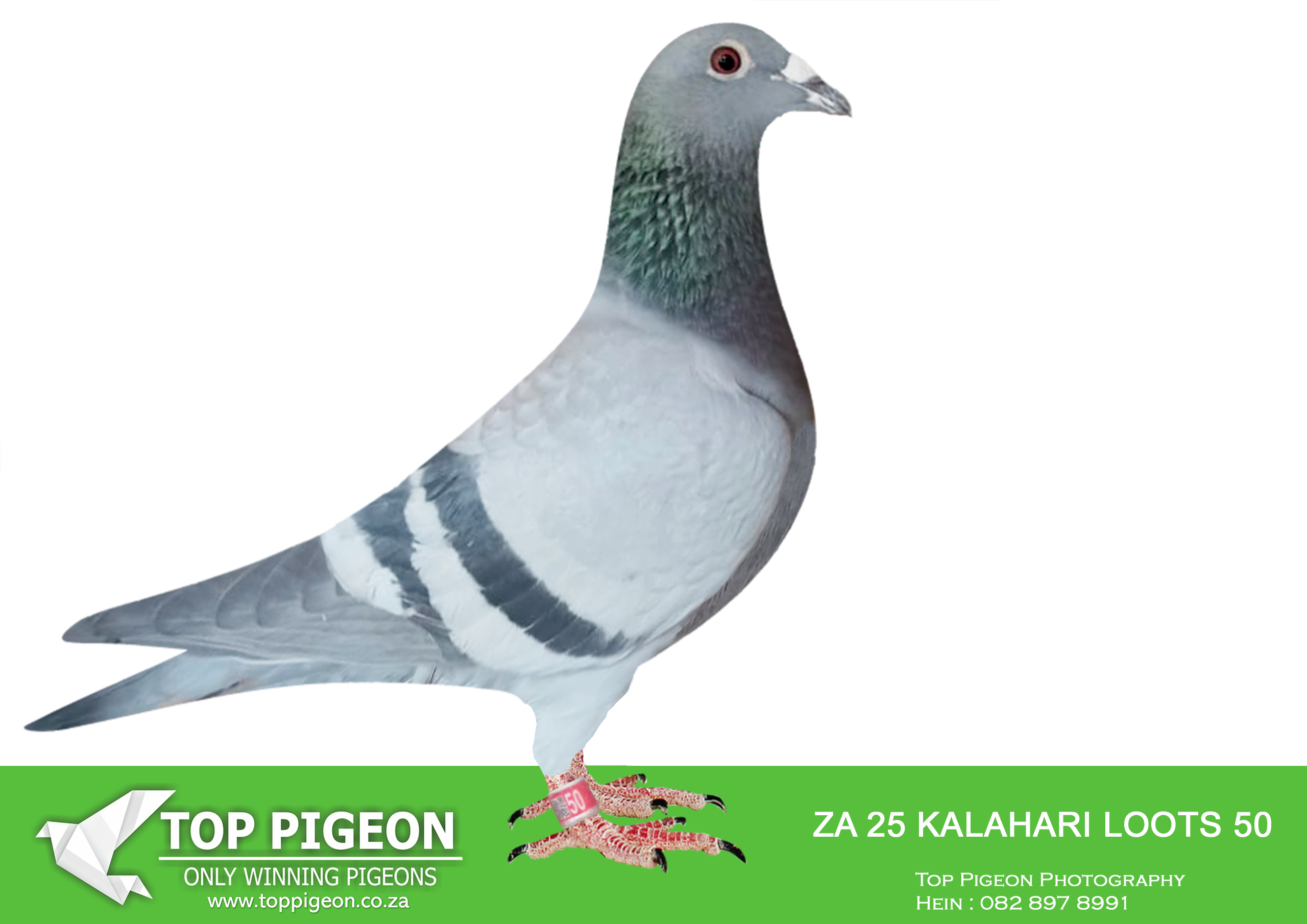 .LOT 9 KALAHARI LOOTS AUCTION 2 – ZA 25 KALAHARI LOOTS 50 –