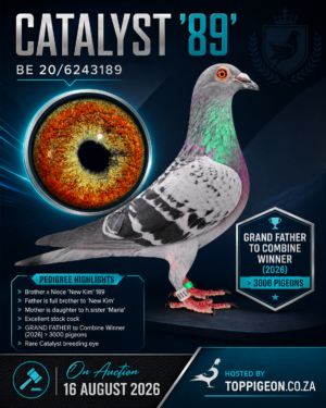 ACTIVE AUCTION - CATALYST '89' - FROM 12 AUGUST TO SUNDAY 16 AUGUST 2026 (ENDING 14:00)