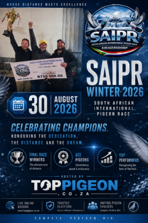 UPCOMING AUCTION - SAIPR WINTER OLR - FROM 24 AUGUST TO SUNDAY 30 AUGUST 2026 (ENDING FROM 13:00)