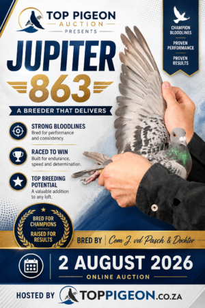 ACTIVE AUCTION - JUPITER 863 - FROM 1 AUGUST TO SUNDAY 2 AUGUST 2026 (ENDING 16:20)