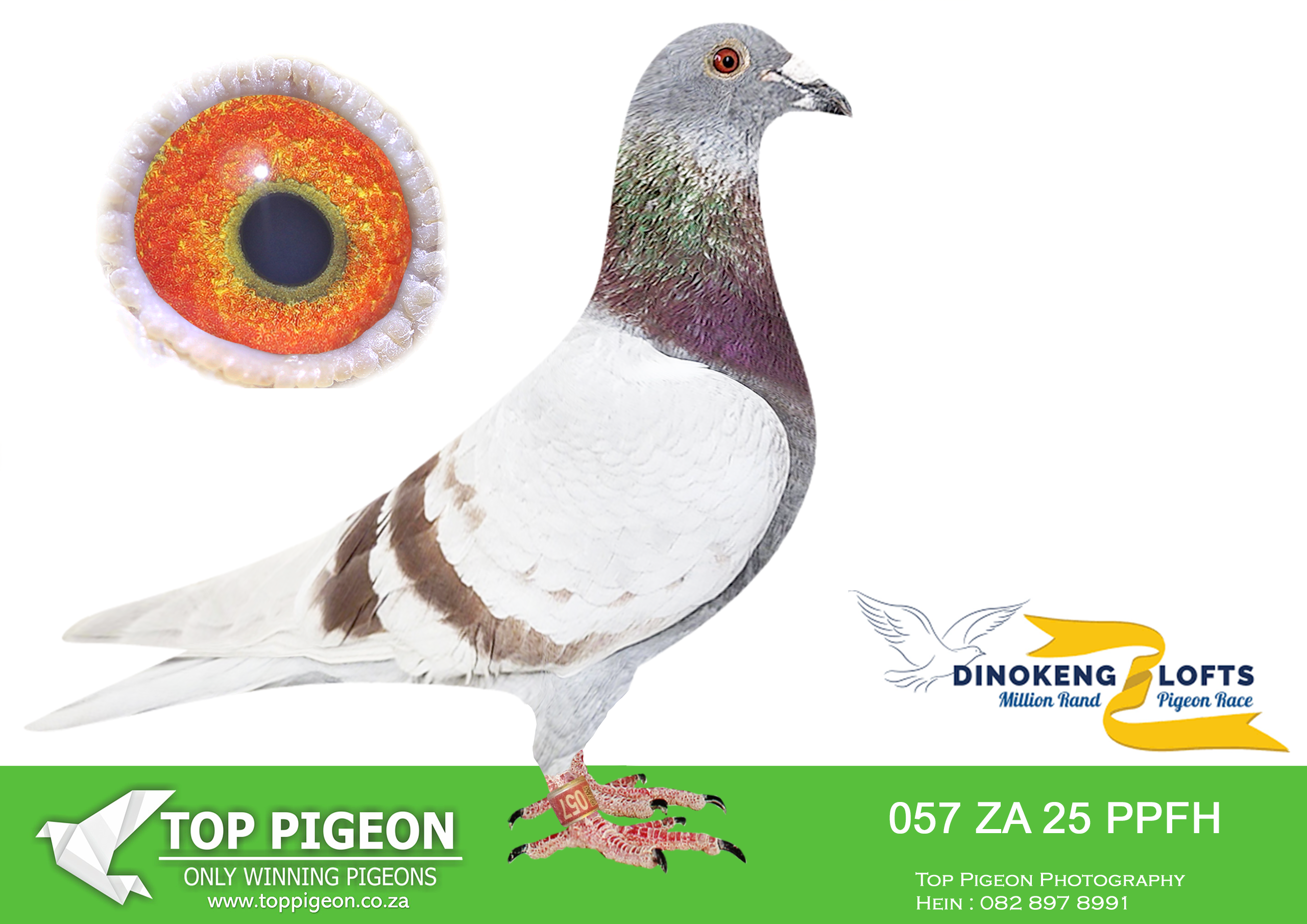 ZZ.. LOT 122 DINOKENG OLR – KOBUS & MARIETJIE-ZA PPFH 25- 057 –