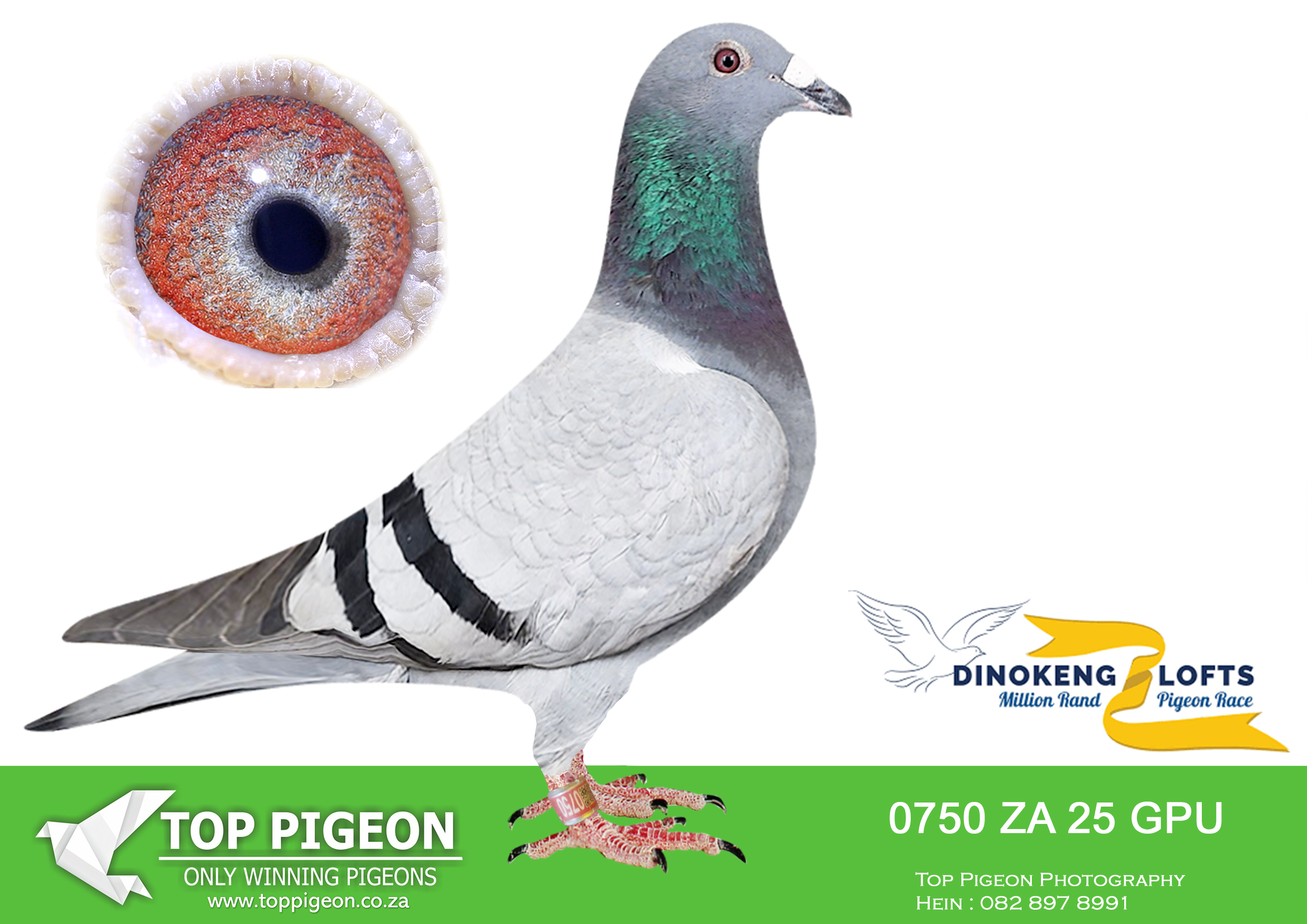 ZZ.. LOT 103 DINOKENG OLR – WILLIE MUNNIK-ZA GPU 2025 0750 –