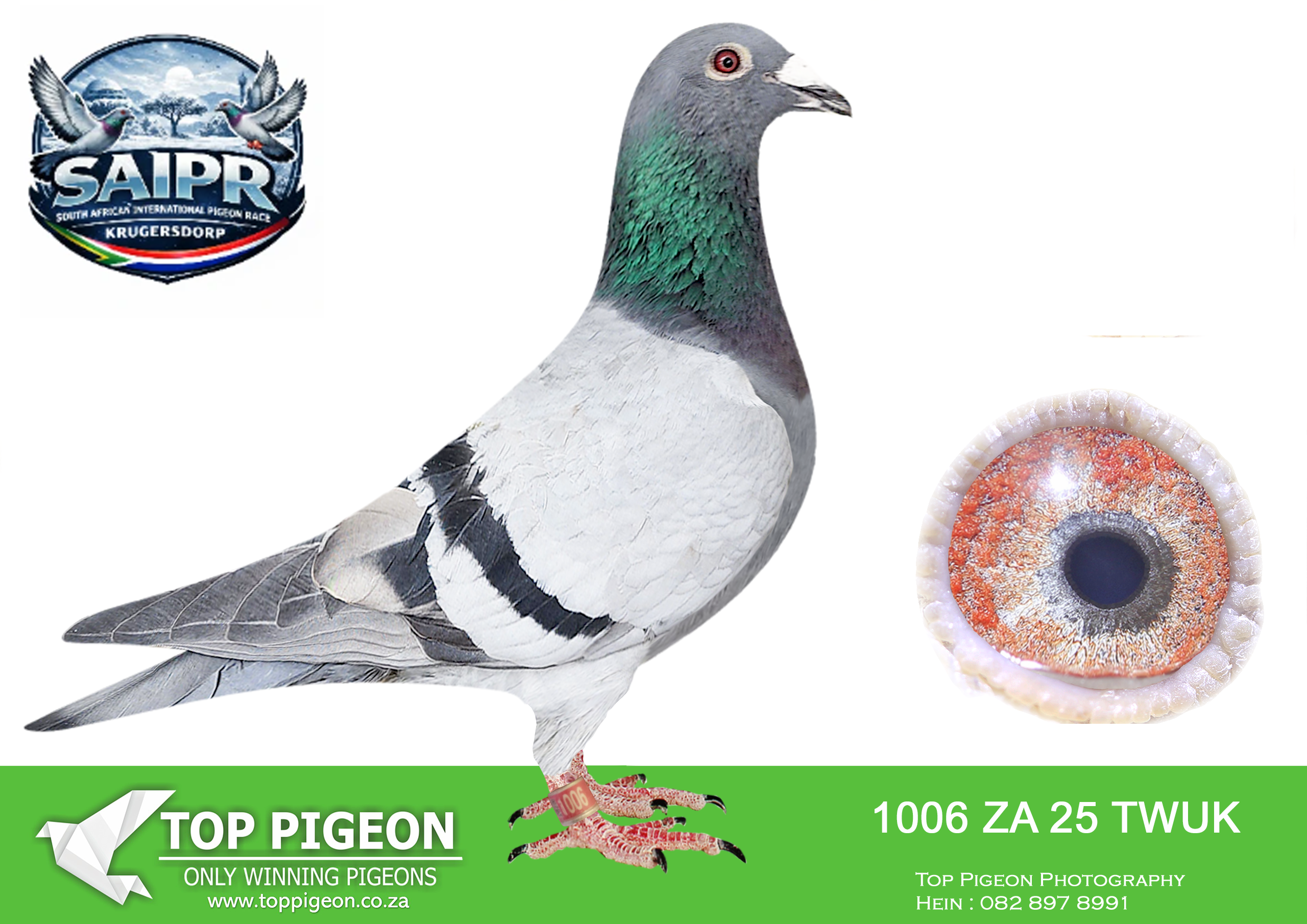 LOT 53 SAIPR OLR AUCTION 2 – Johan Smallberger-TWUK 1006 2025 –