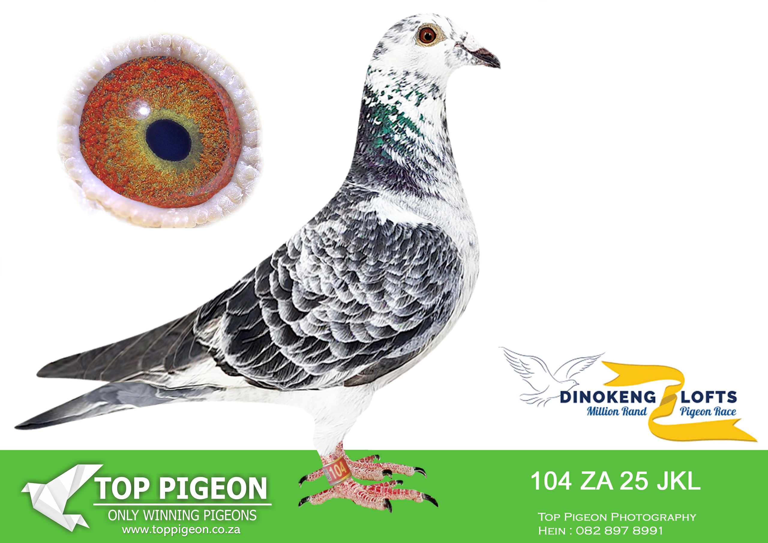 ZZ.. LOT 124 DINOKENG OLR – EXCLUSIVE PIGEON PARADISE-ZA JKL 25- 104 –