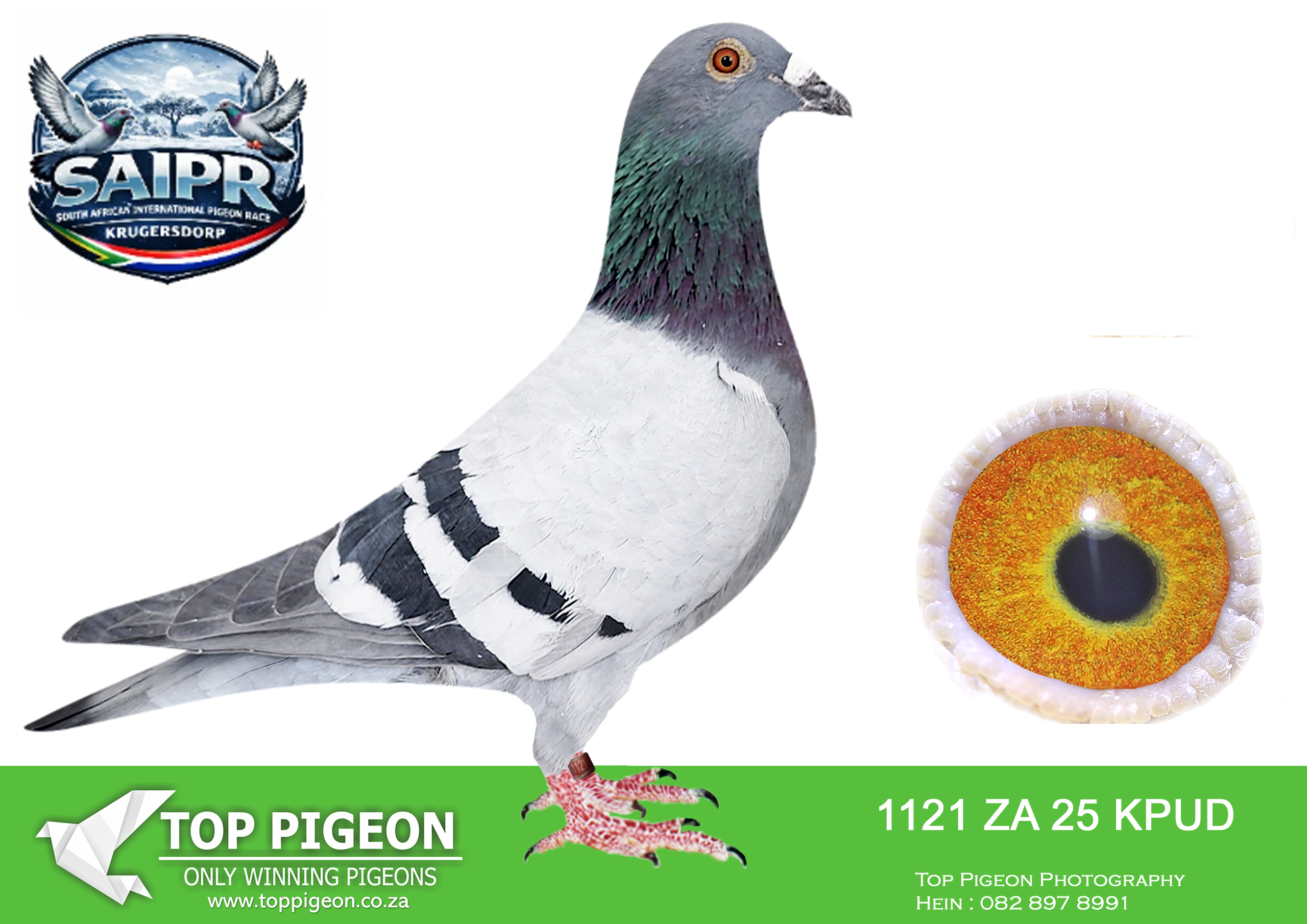LOT 43 SAIPR OLR AUCTION 2 – IGNIS FIRE 2-ZA KPUD 1121 2025 –