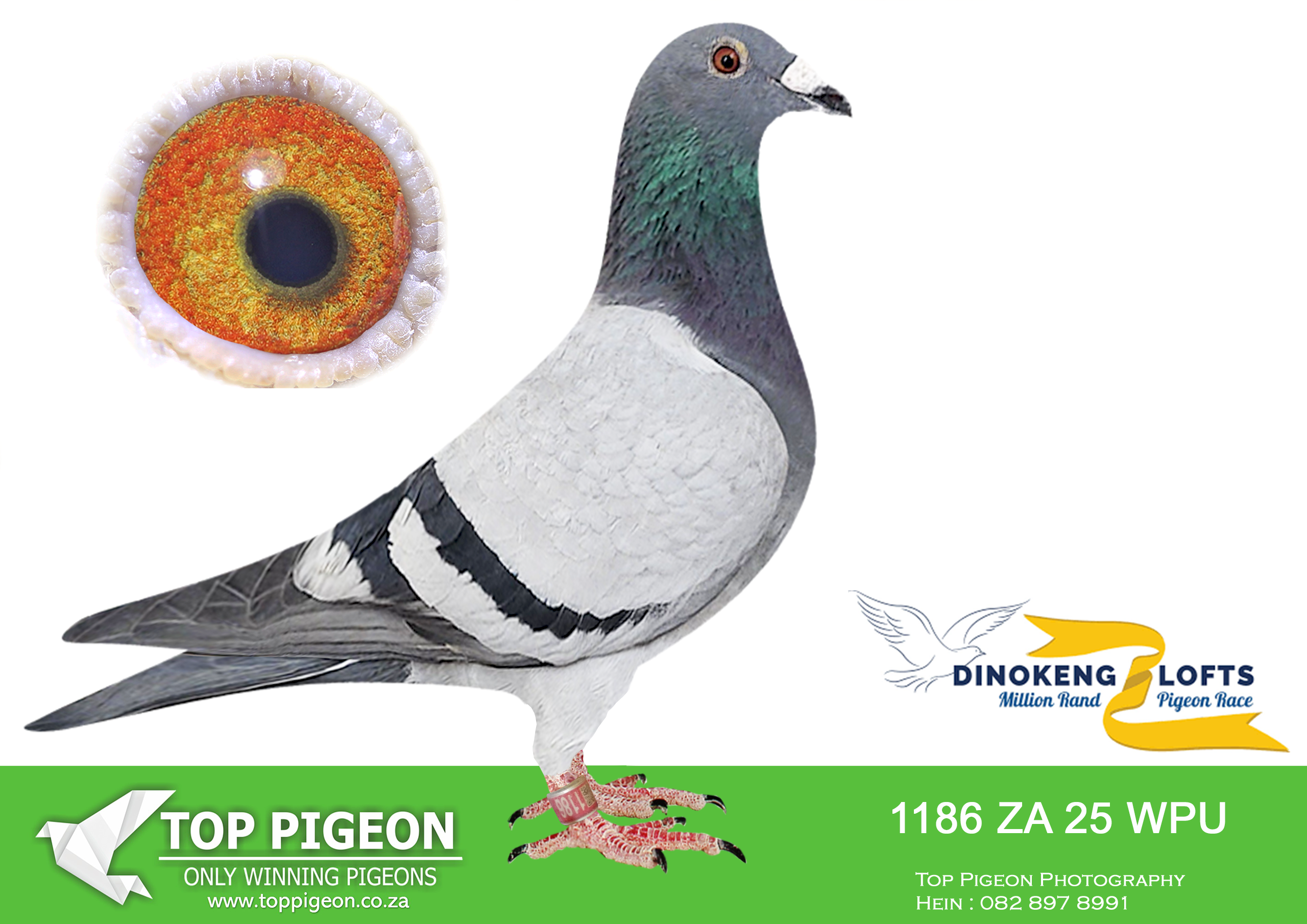 ZZ.. LOT 149 DINOKENG OLR – M.B. LOFTS-ZA WPU 25- 1186 –