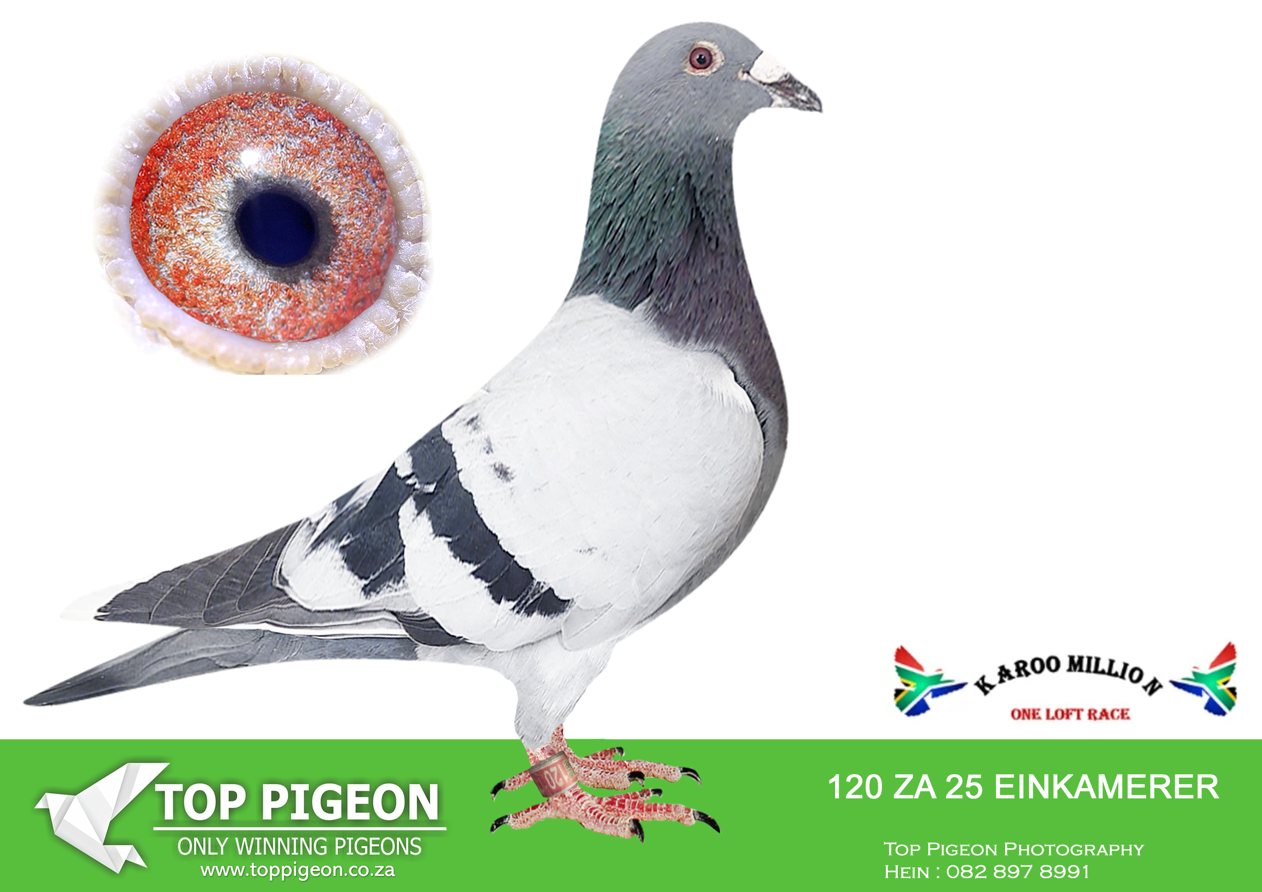 LOT 55 KAROO MILLION OLR-LOFT EINKAMERER-120 EIN 2025 –