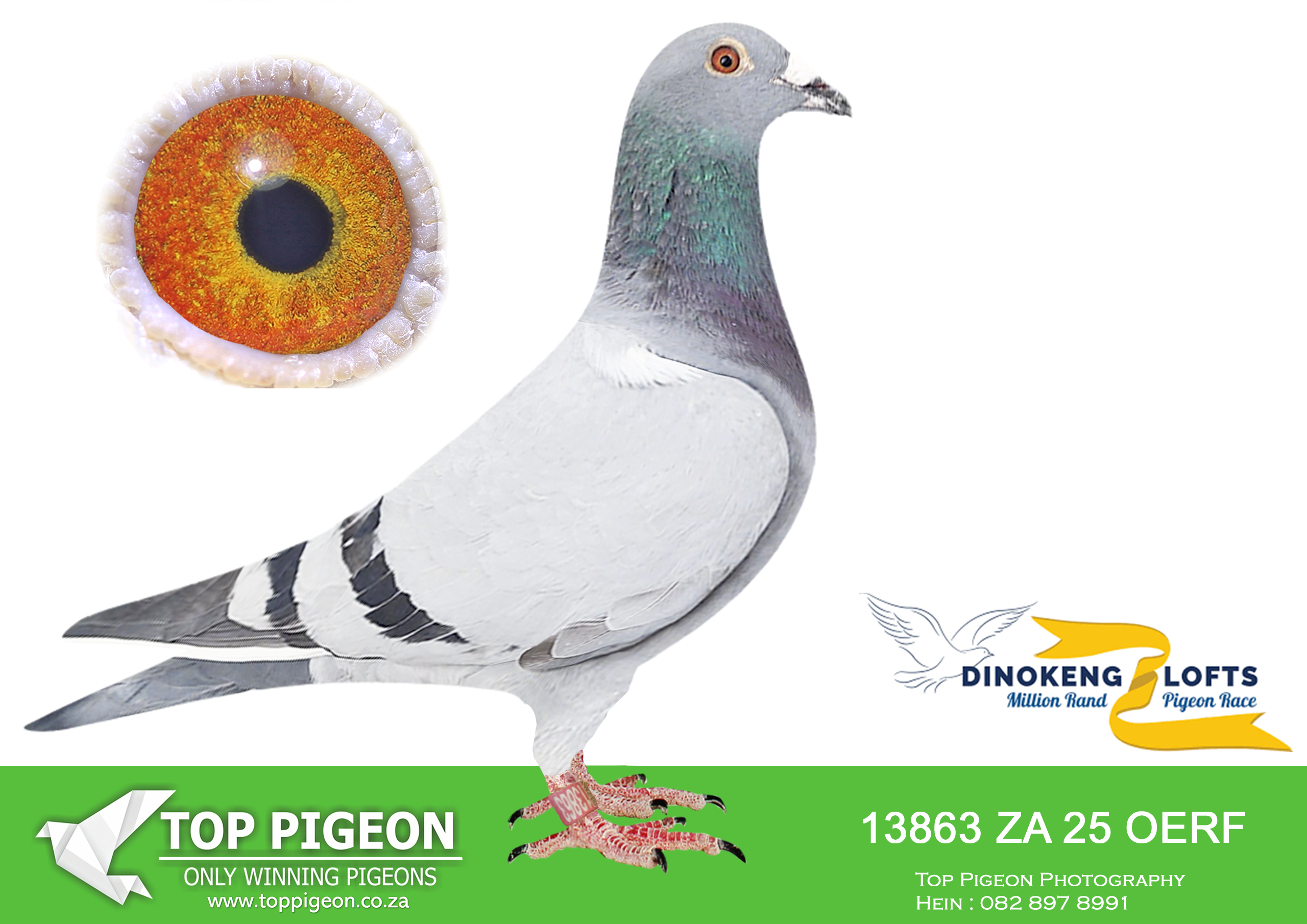 LOT 32 DINOKENG OLR – ANDRE & JUAN-ZA OERF 25- 13863 –
