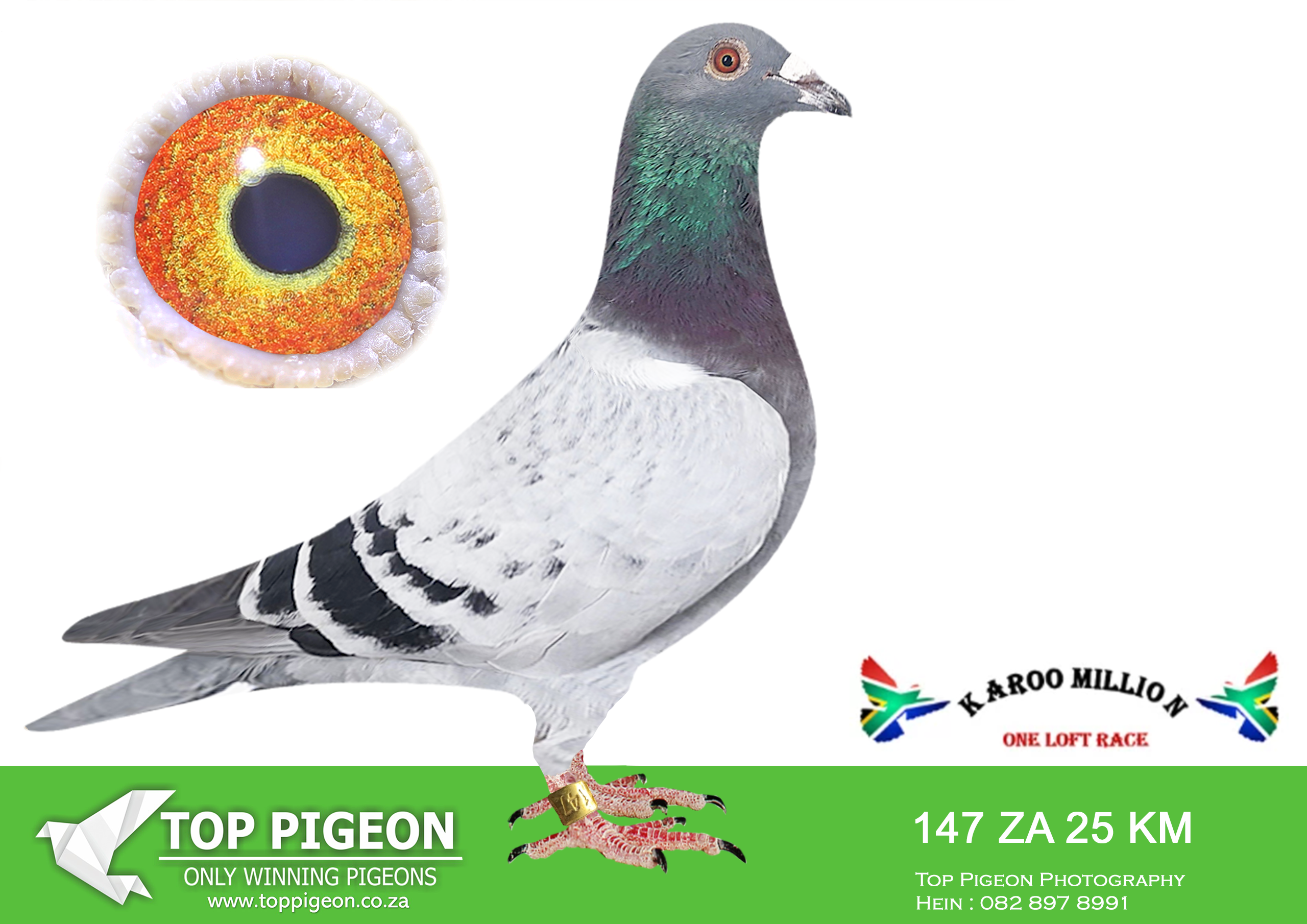LOT 23 KAROO MILLION OLR – BRANWEB-147 KAROO MILLION 2025 –
