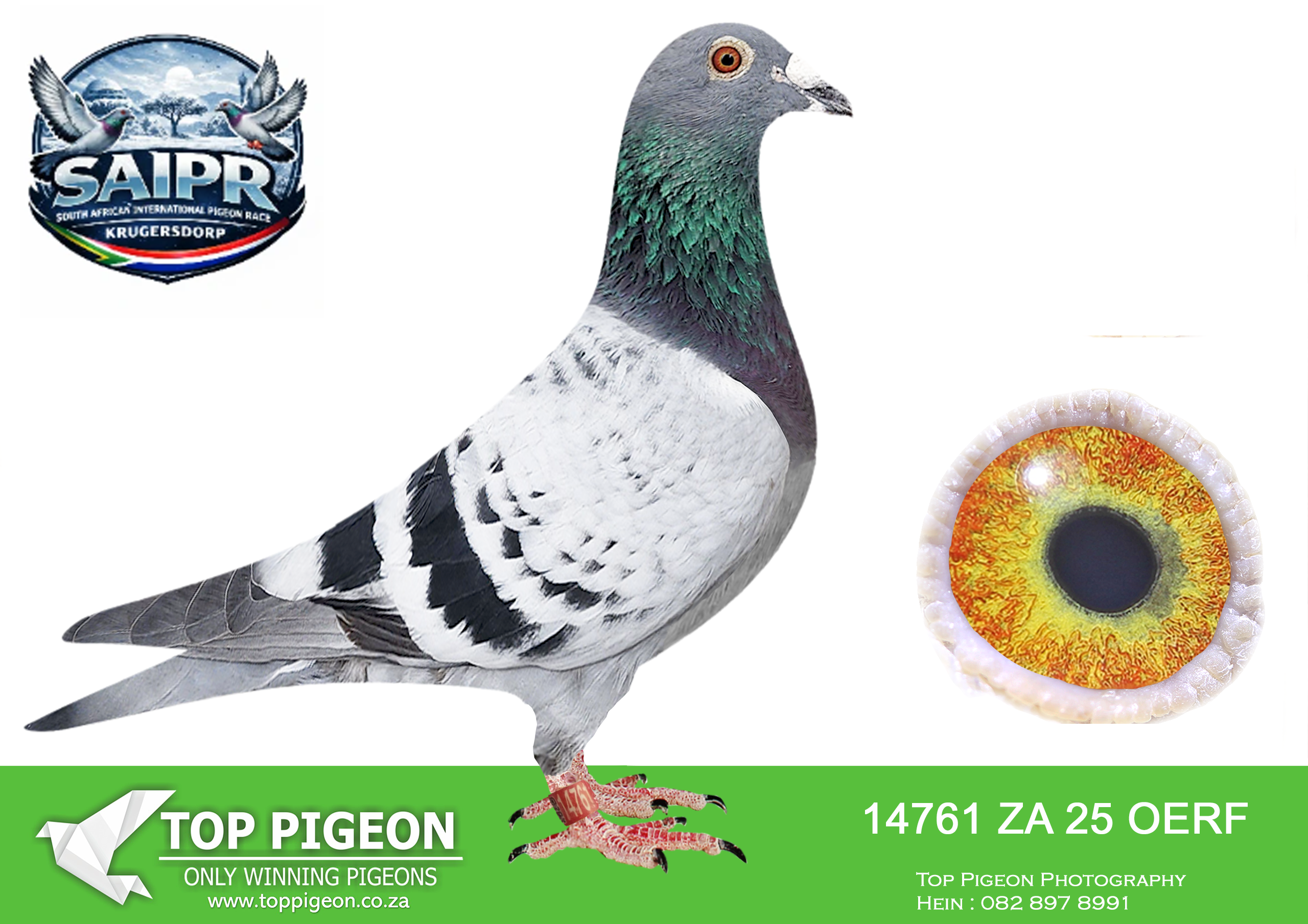 LOT 78 SAIPR OLR AUCTION 2 -Gilbert-Heerman-Holland-Klingbiel-ZA OERF 14761 2025 –