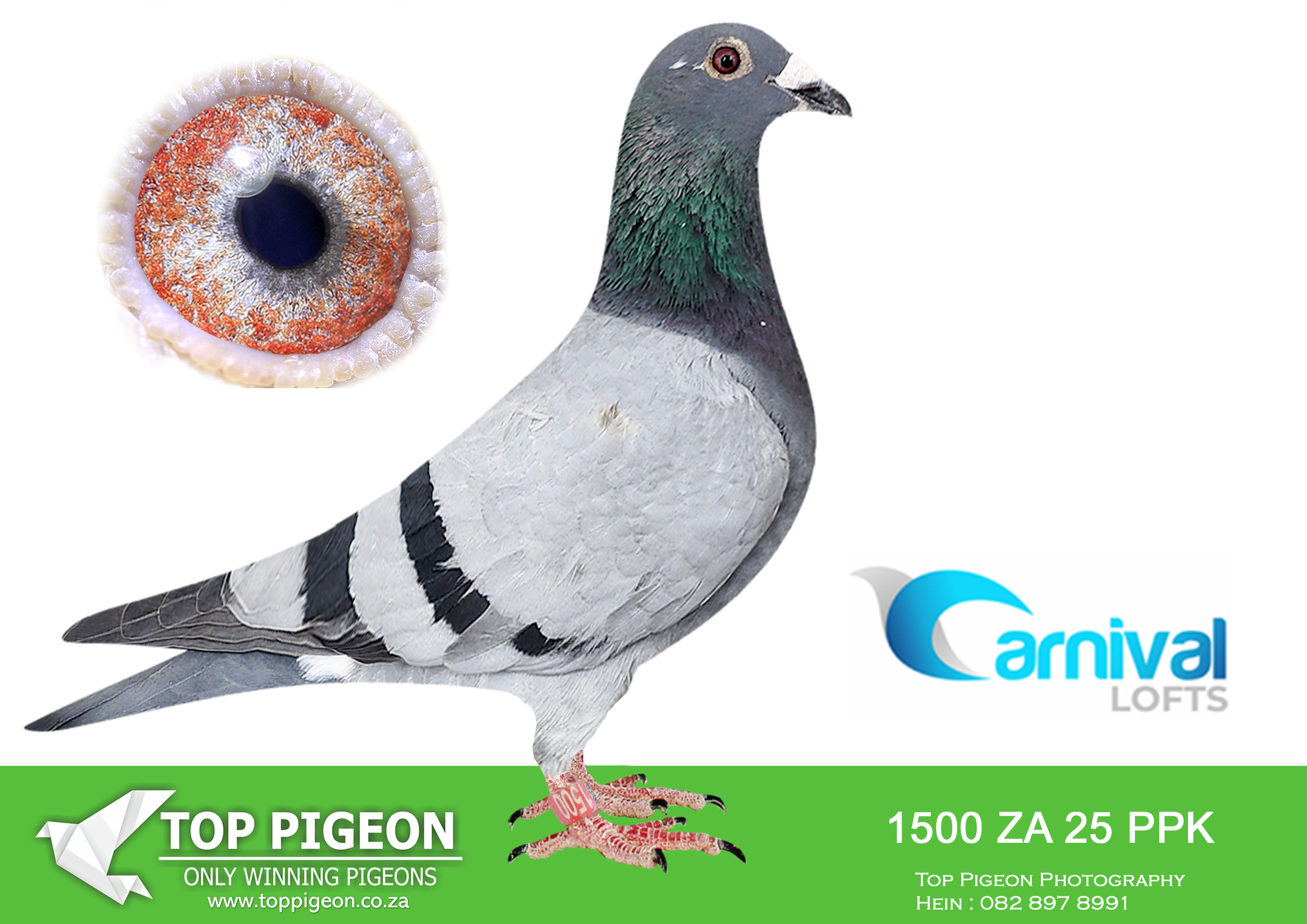 LOT 80 CARNIVAL WINTER OLR – Team Oberholster-PPK 25 1500 –