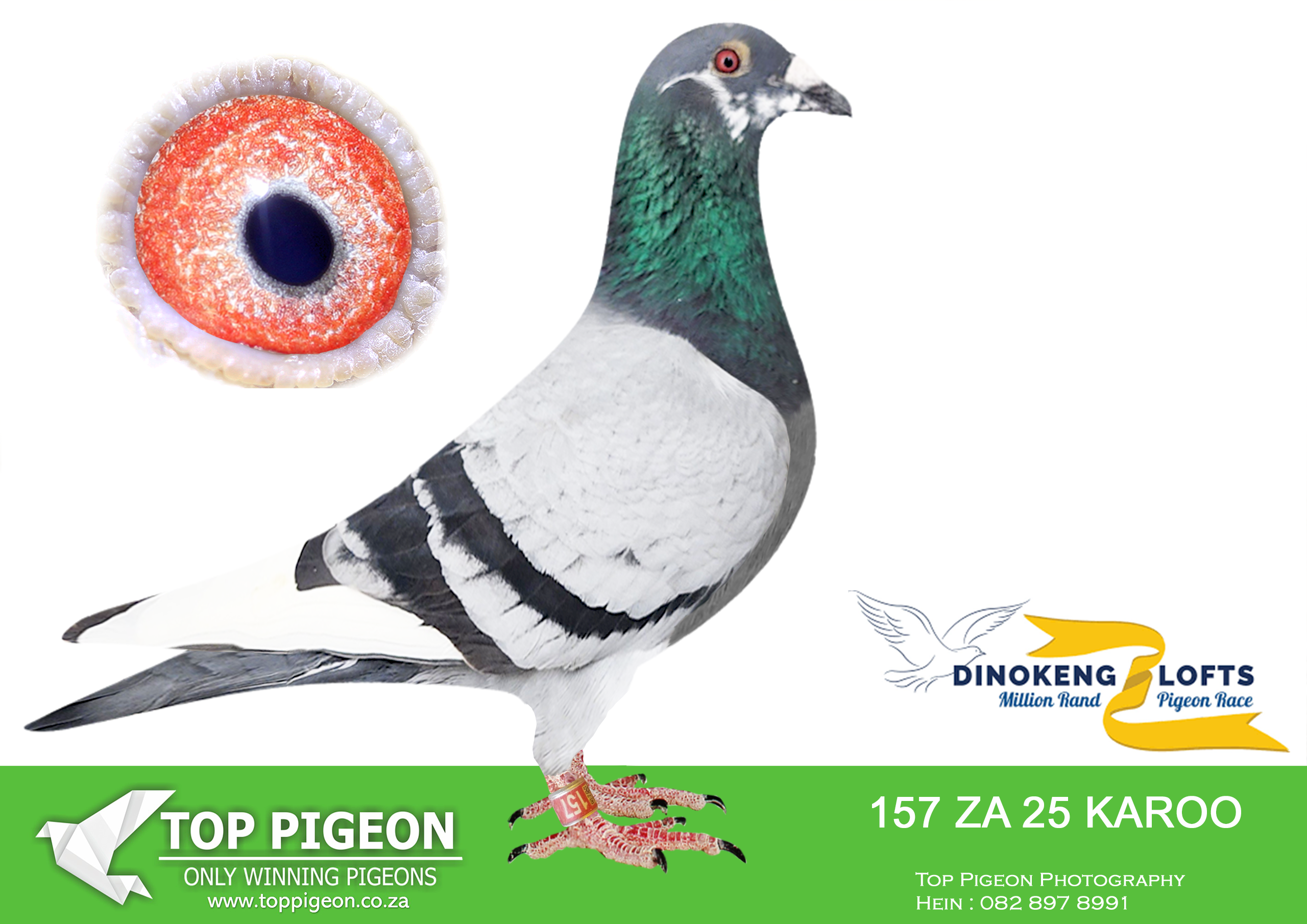 LOT 86 DINOKENG OLR – KAROO HOKKE-ZA KAROO 25- 157 –