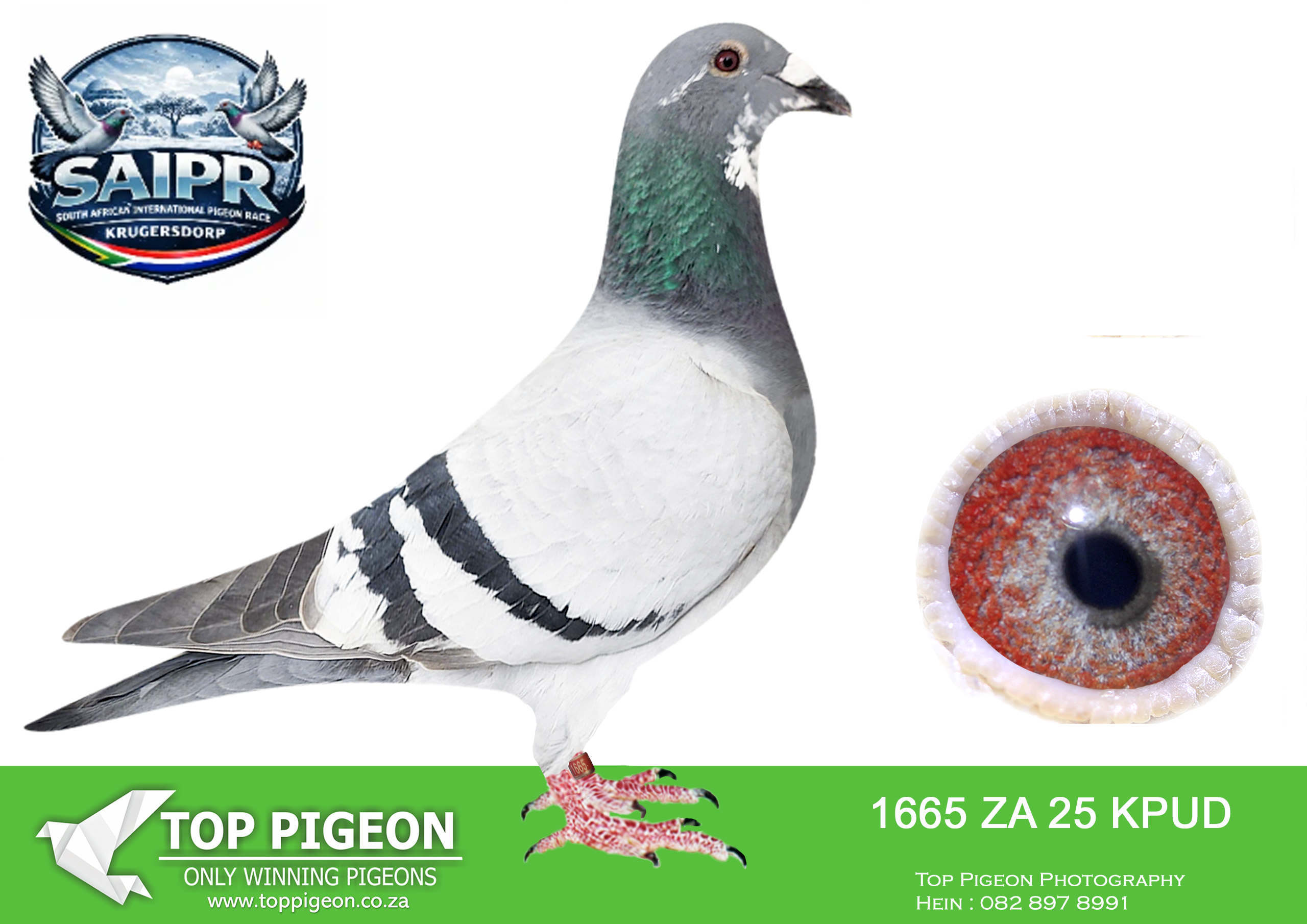 ZZ.. LOT 110 SAIPR OLR AUCTION 2 – VSL 3-ZA KPUD 1665 2025 –