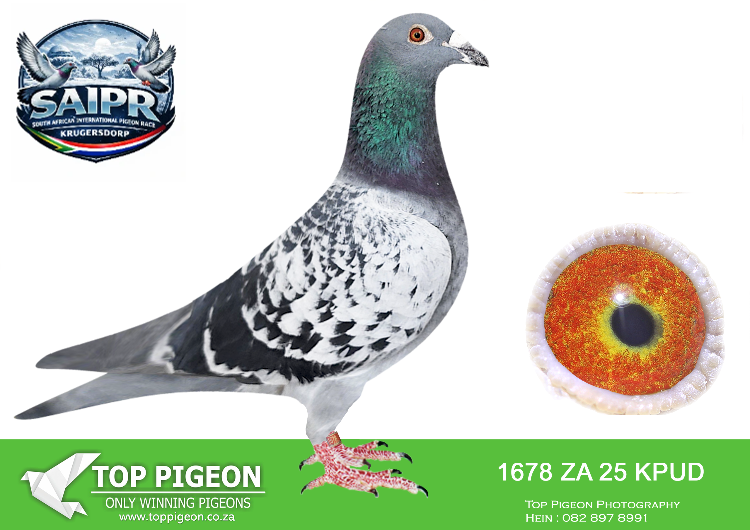 LOT 95 SAIPR OLR AUCTION 2 -VSL 1-ZA KPUD 1678 2025 –