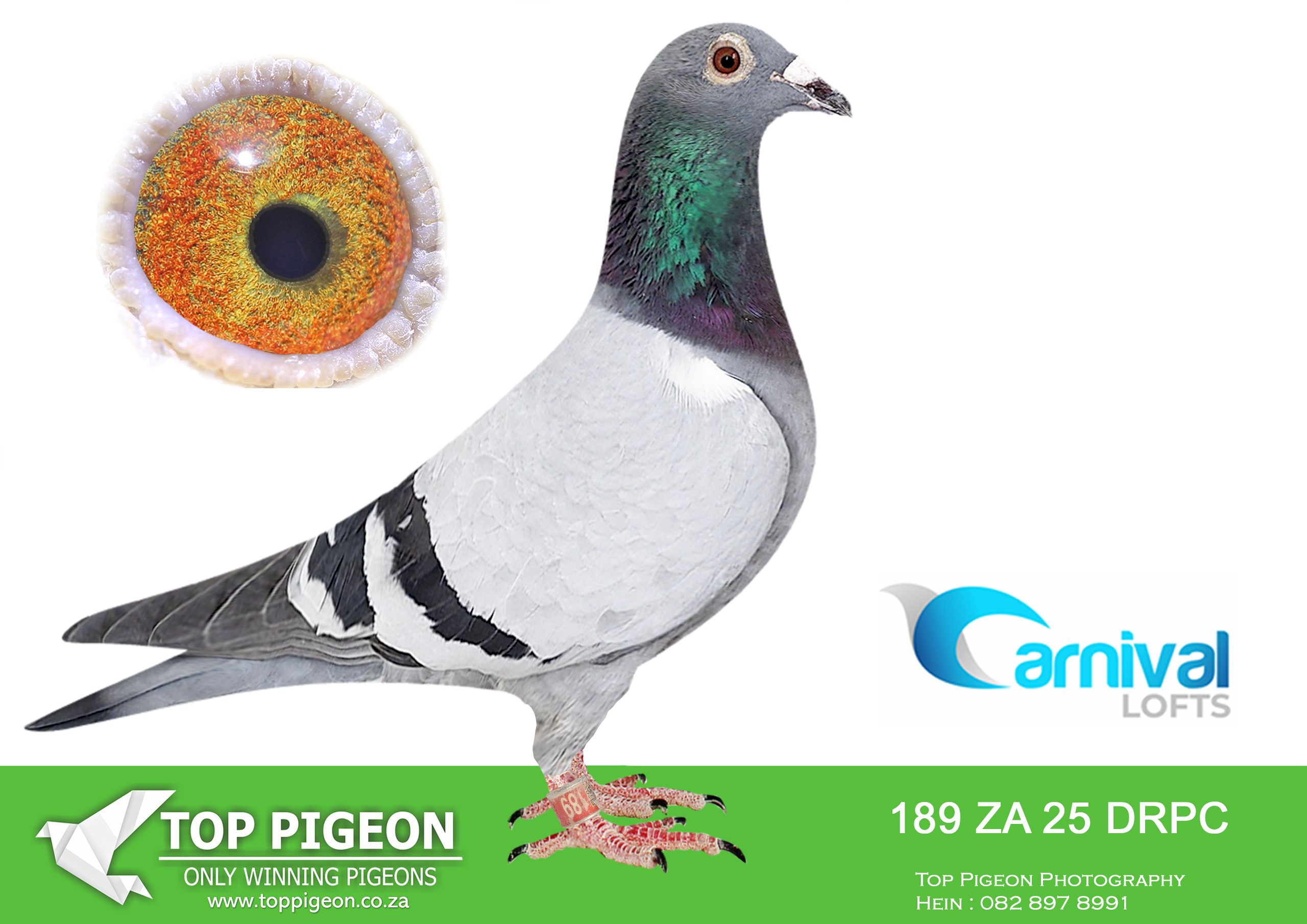 .LOT 9 CARNIVAL WINTER OLR – Tradeane Lofts-DRPC 25 189 –