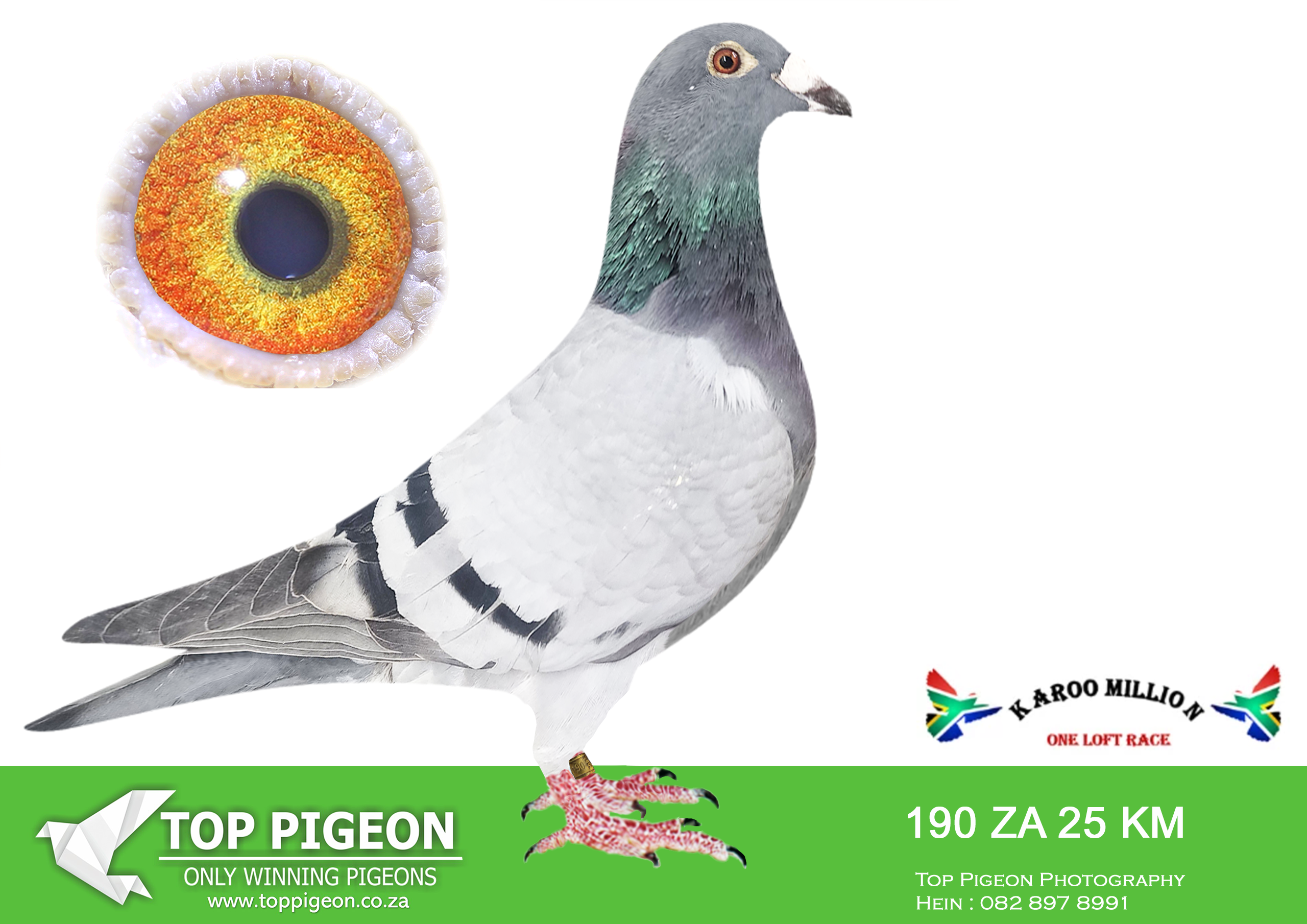 ZZ..LOT 118 KAROO MILLION OLR-RONNIE HUEBSCH-190 KAROO MILLION 2025 –