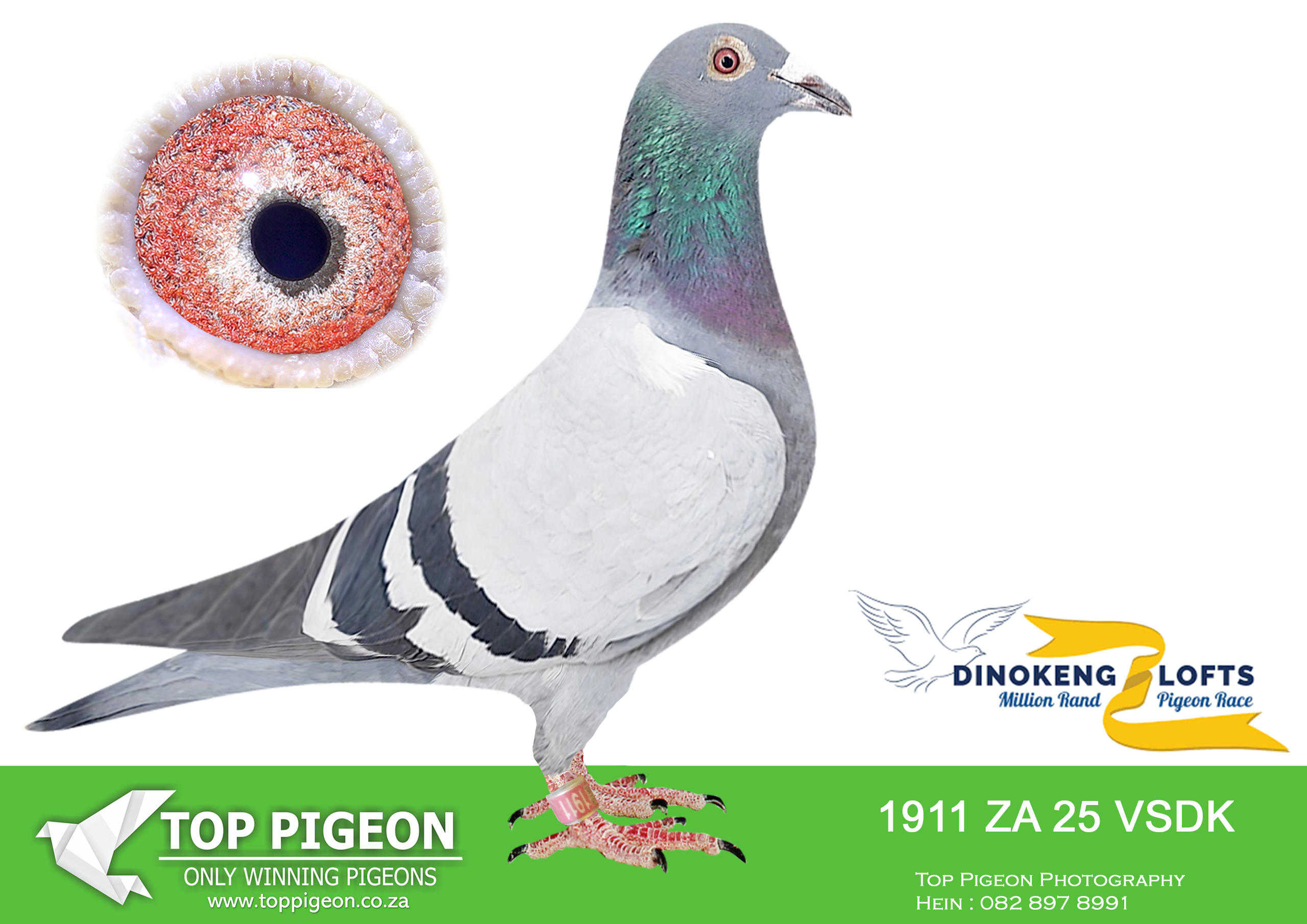 LOT 82 DINOKENG OLR – & MARIETJIE-ZA VSDK 25- 1911 –