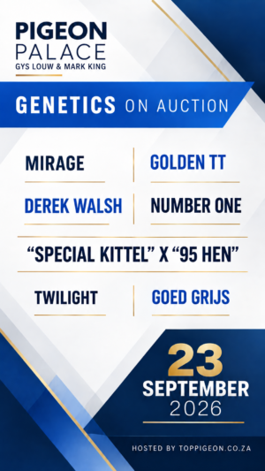 ACTIVE AUCTION - PIGEON PALACE - FROM 21 SEPTEMBER TO WEDNESDAY 23 SEPTEMBER 2026 (ENDING FROM 20:00)