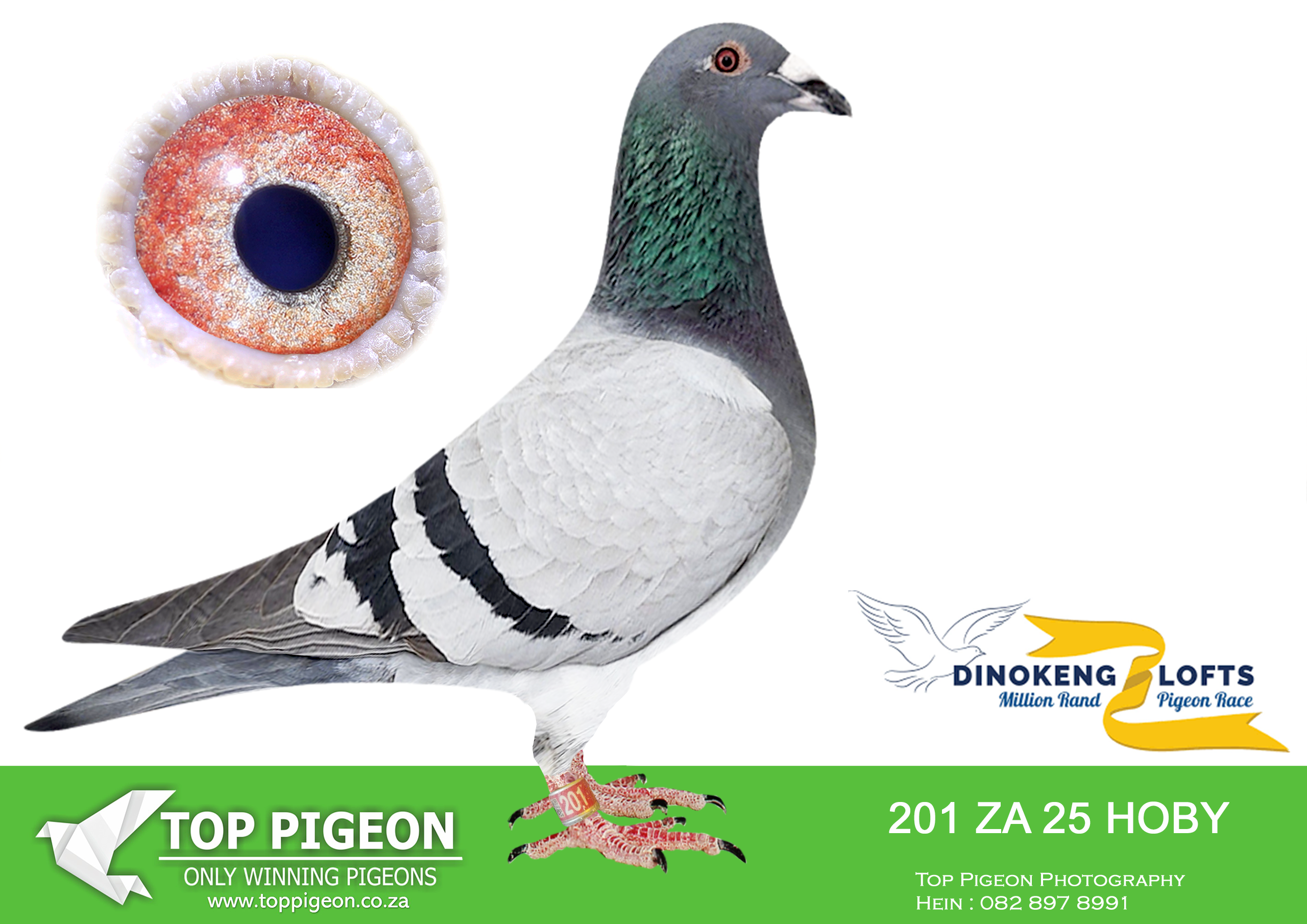 .LOT 7 DINOKENG OLR – ANTON SCHONKEN-ZA HOBY 25- 201 –