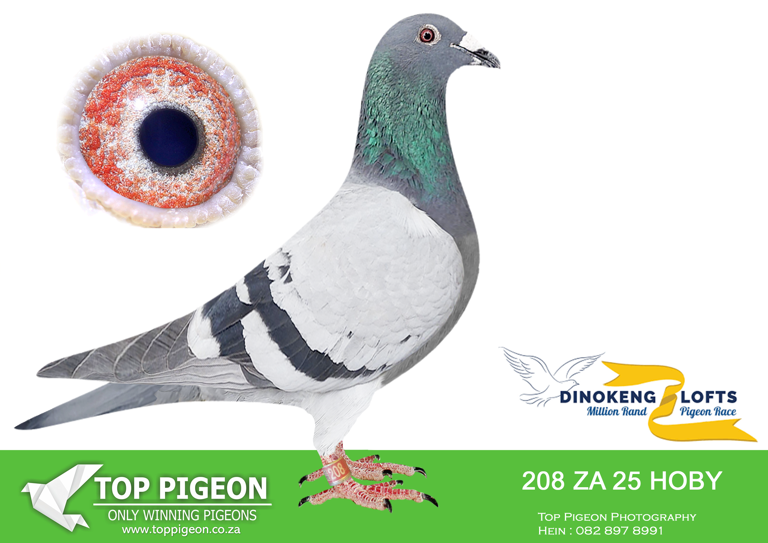 LOT 33 DINOKENG OLR – ANTON SCHONKEN-ZA HOBY 25- 208 –