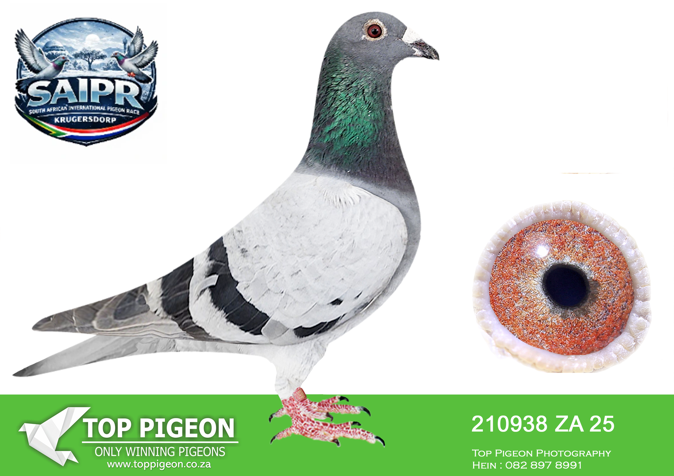 ZZ.. LOT 120 SAIPR OLR AUCTION 2 – WILANI & DANIE & NICO-ZA 210938 2025 –