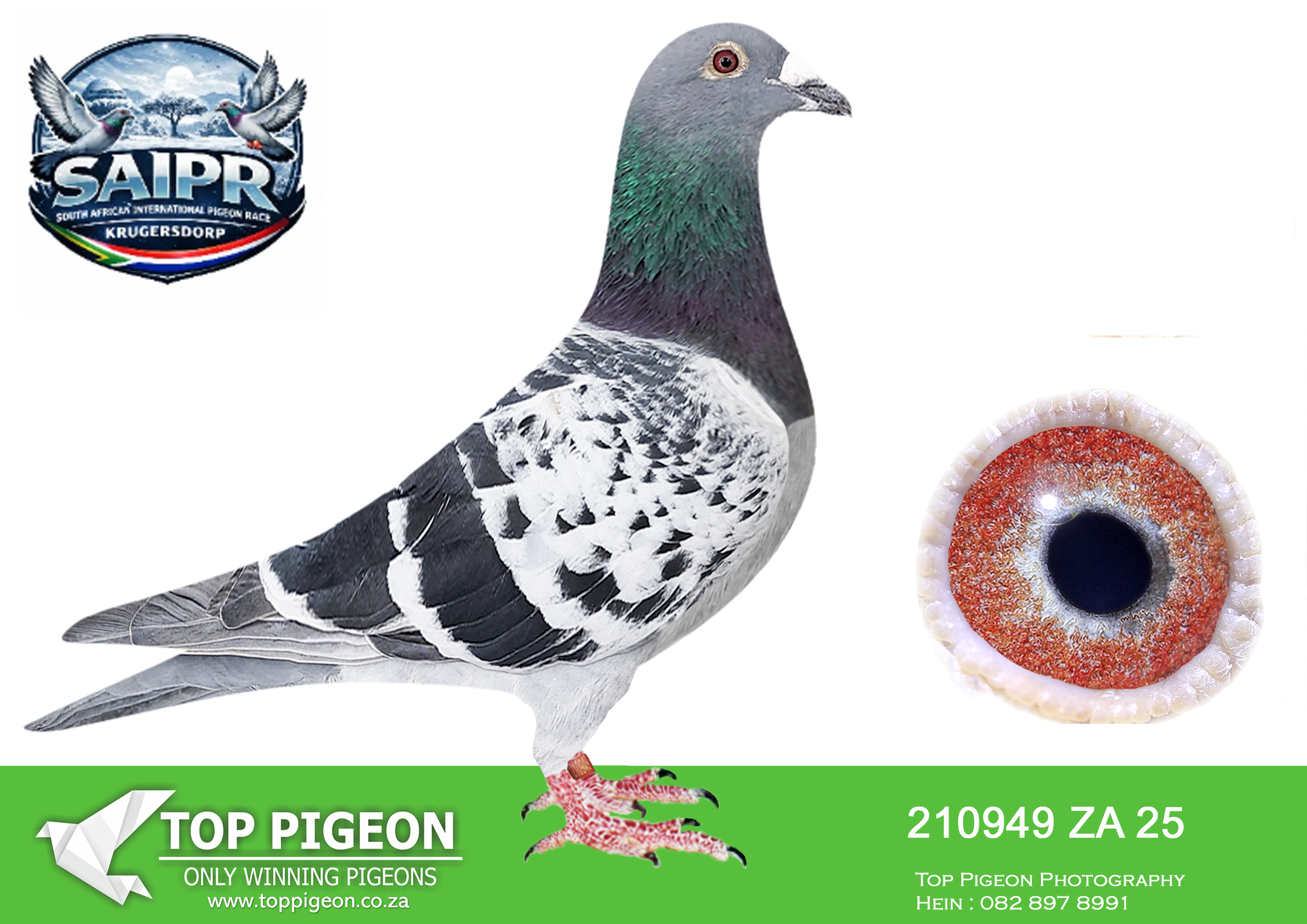 ZZ.. LOT 105 SAIPR OLR AUCTION 2 – VSL 2-ZA 210949 2025 –