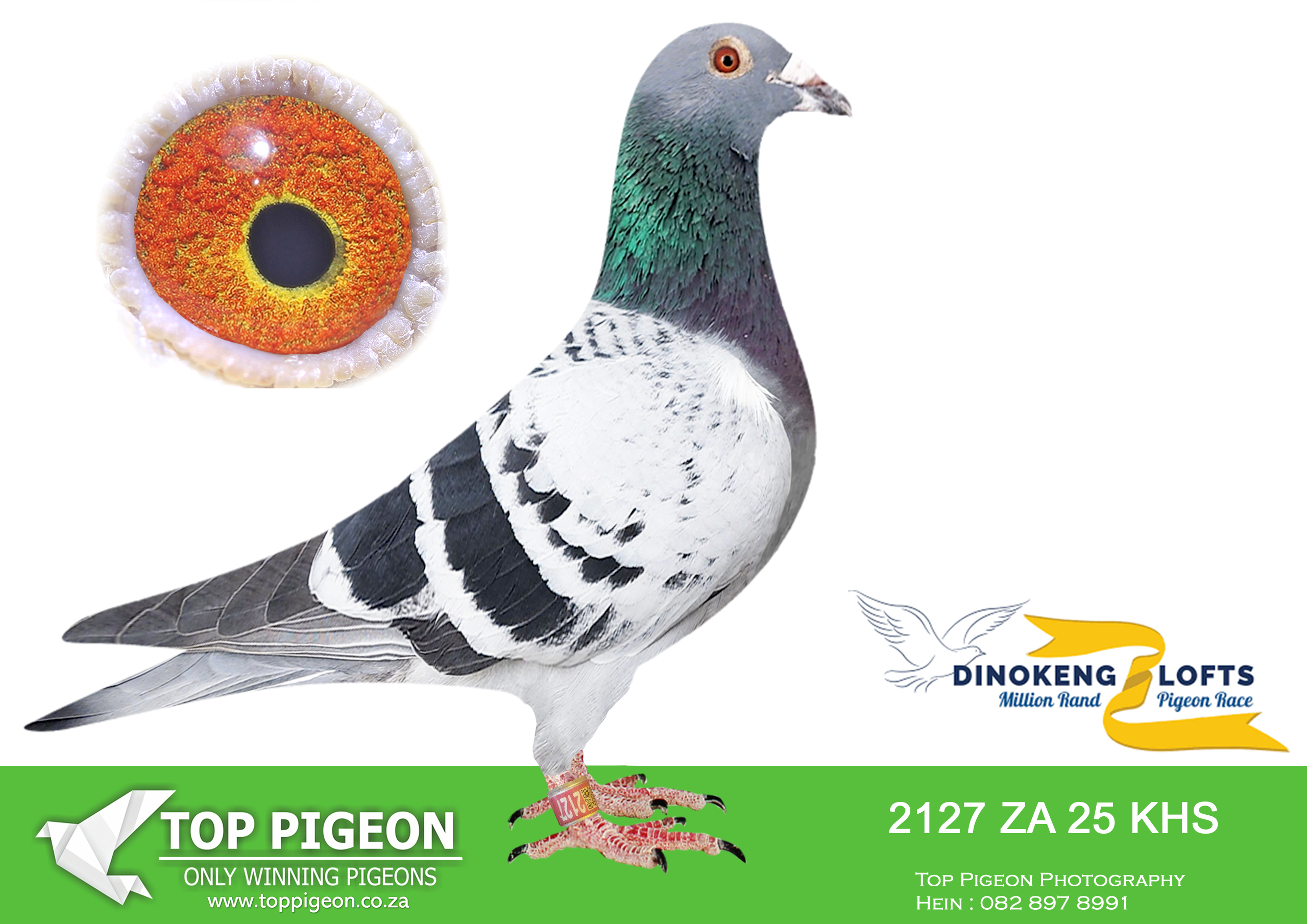 ZZ.. LOT 147 DINOKENG OLR – FRANCOIS STEINMAN-ZA KHS 25- 2127 –