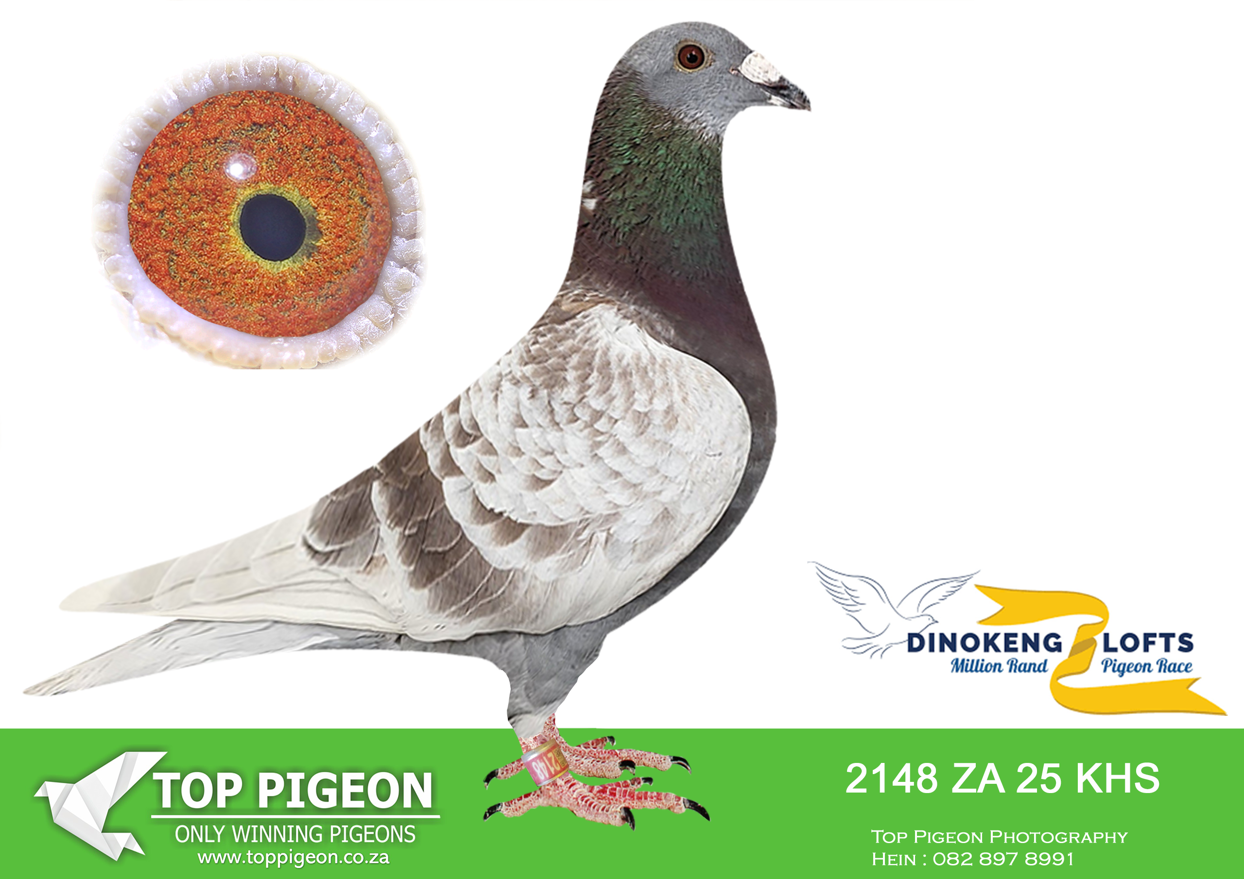 ZZ.. LOT 106 DINOKENG OLR – FRANCOIS STEINMAN-ZA KHS 25- 2148 –