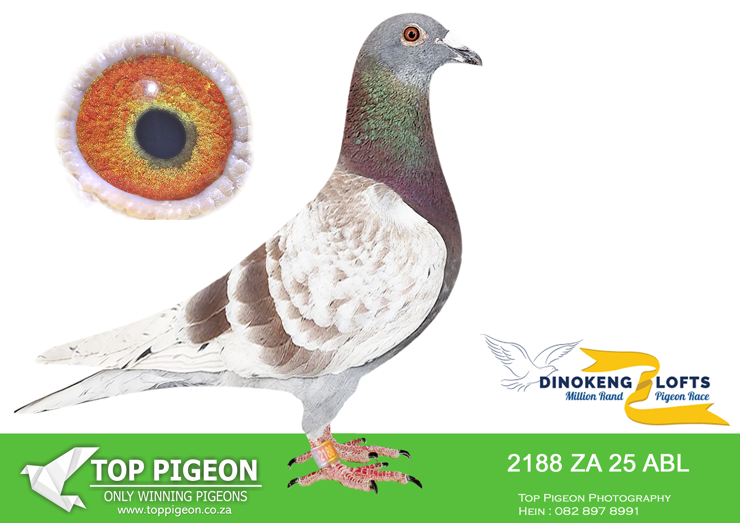 .LOT 1 DINOKENG OLR – ALWYN BESTER-ZA ABL 2025 2188 –