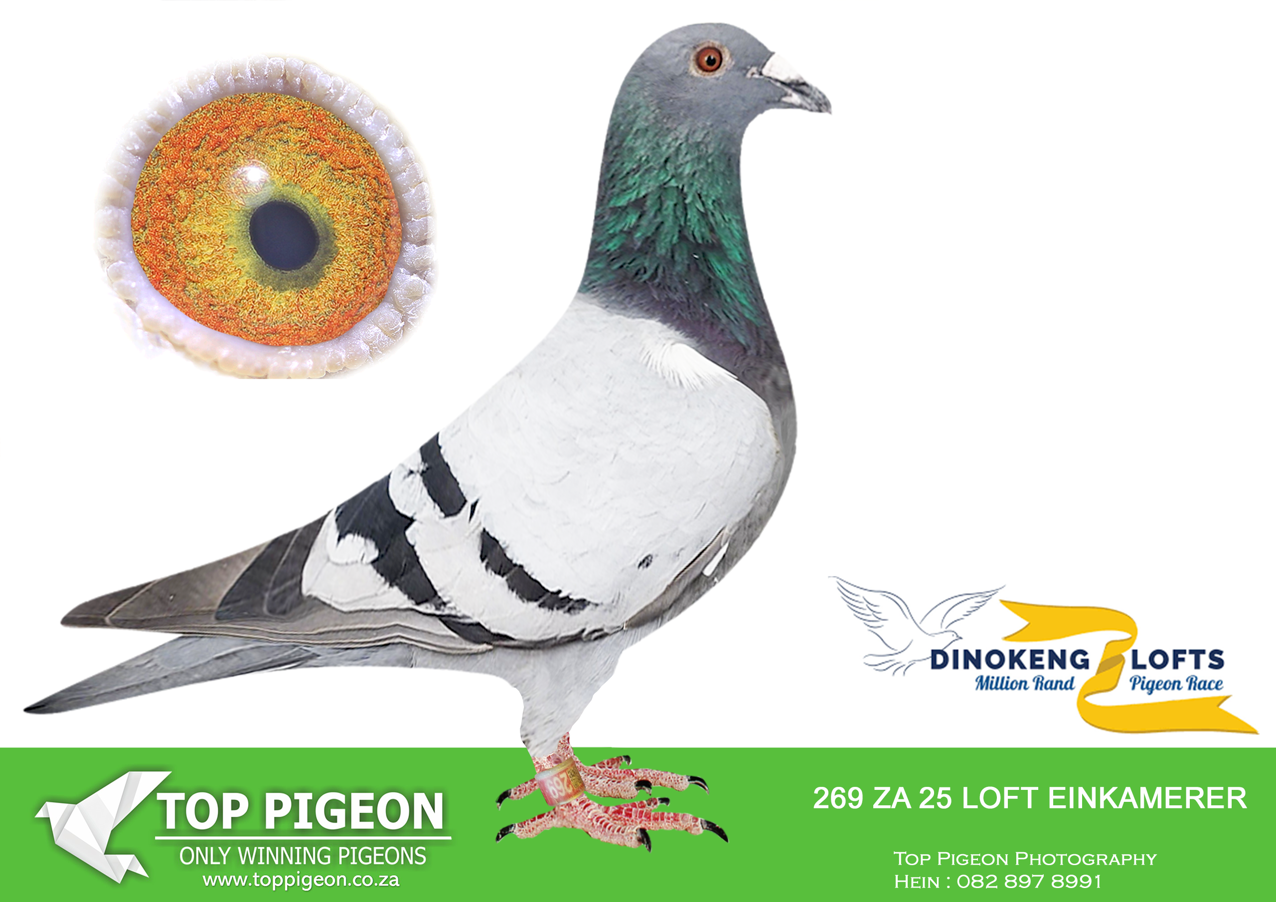 LOT 85 DINOKENG OLR – LOFT EINKAMERER-ZA LOFT EINKAMERER 25- 269 –