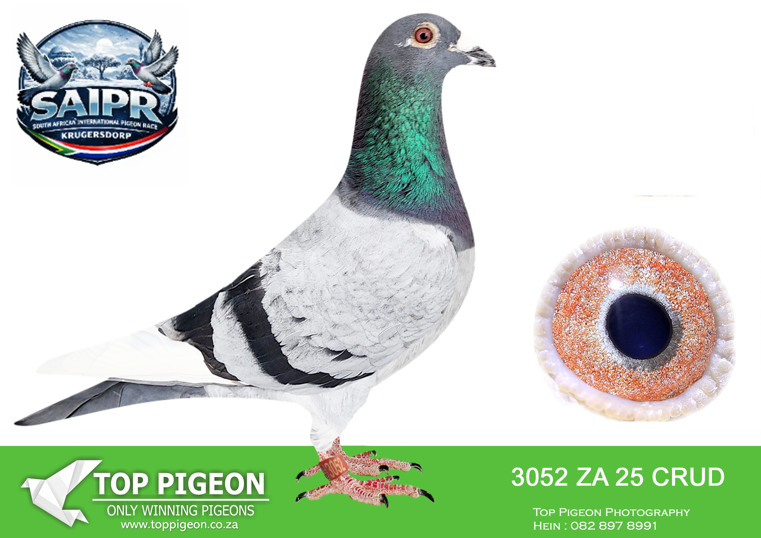 .LOT 5 SAIPR OLR AUCTION 2 – DINOKENG OLR-ZA CRUD 3052 2025 –