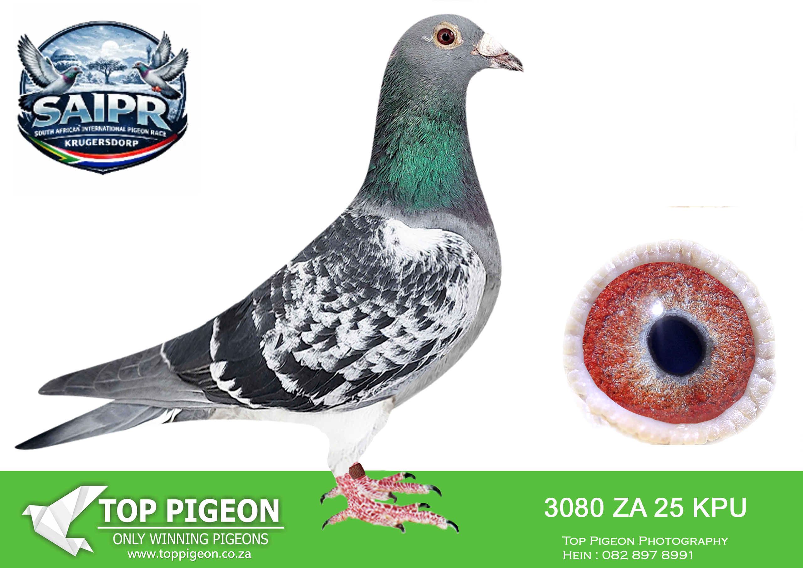 LOT 90 SAIPR OLR AUCTION 2 -MADELEIN VAN NIEKERK-ZA KPU 3080 2025##### –