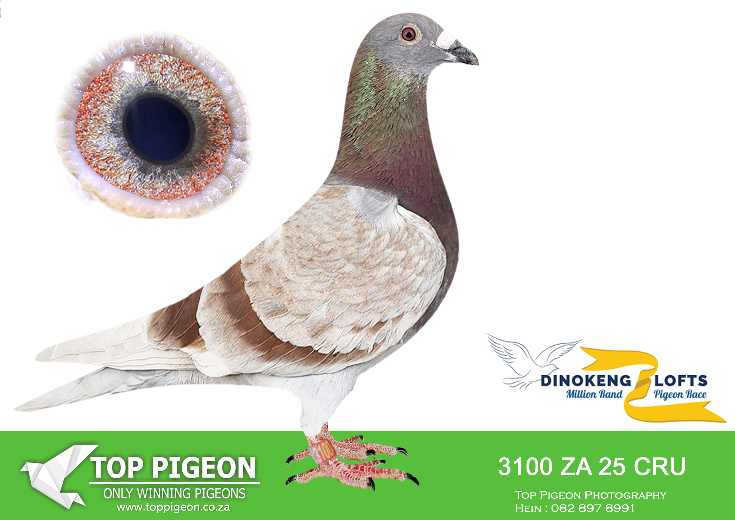 ZZ.. LOT 115 DINOKENG OLR – BOTHA LOFTS-ZA CRU – DERBY 2025 3100 –