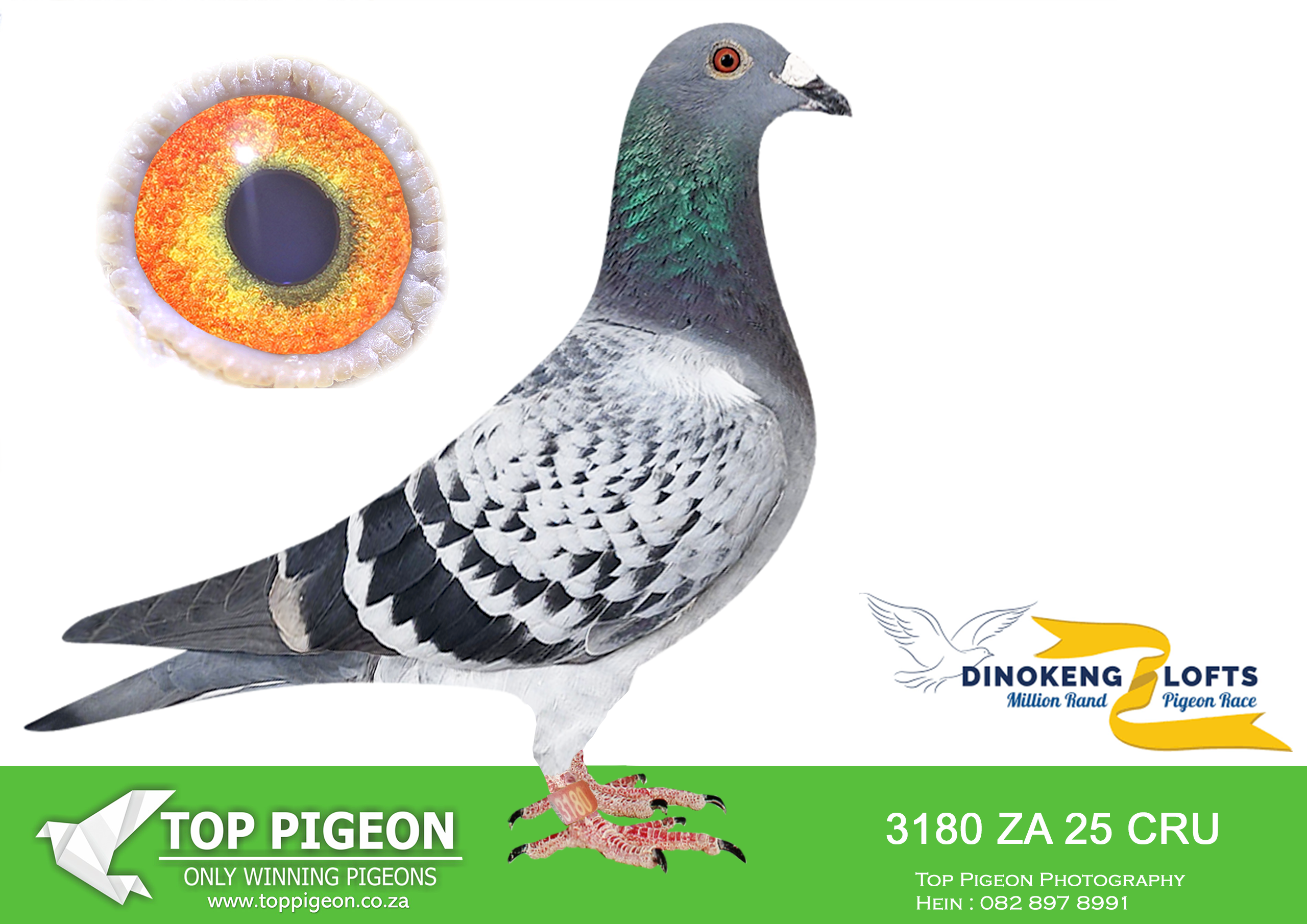 LOT 90 DINOKENG OLR – BOTHA LOFTS-ZA CRU-DERBY 25- 3180 –