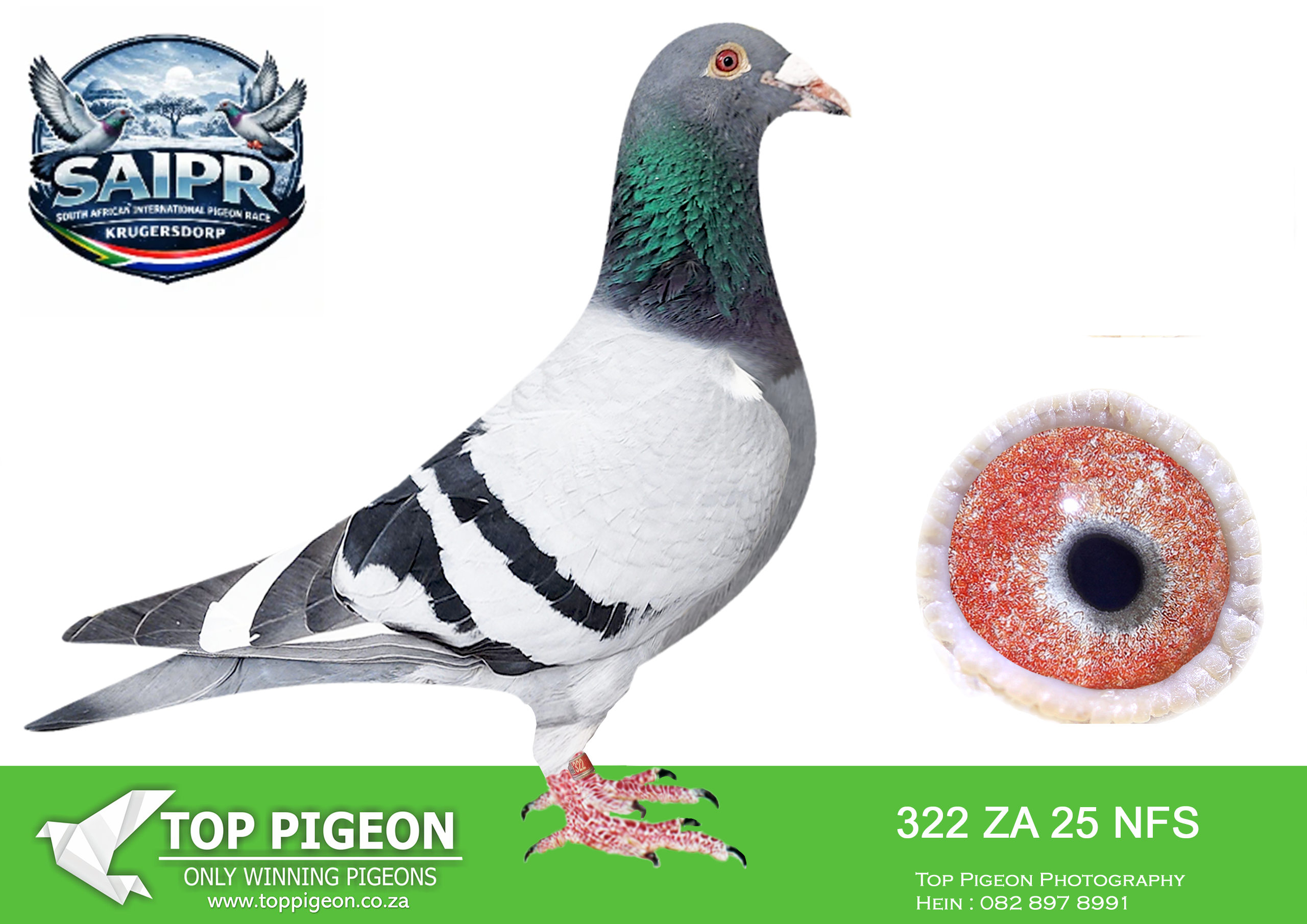 LOT 54 SAIPR OLR AUCTION 2 – JPH & S Posthumus-ZA NFS 322 2025 –