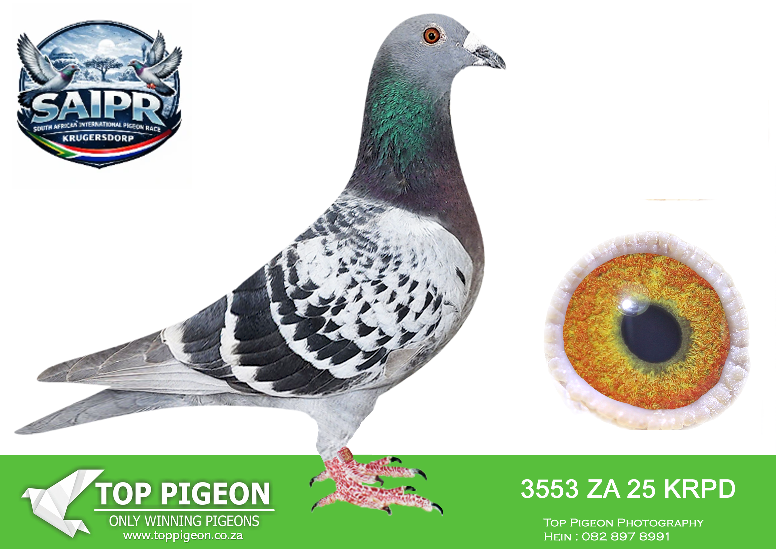 LOT 85 SAIPR OLR AUCTION 2 -TEAM REITZ-ZA KRPD 3553 2025 –