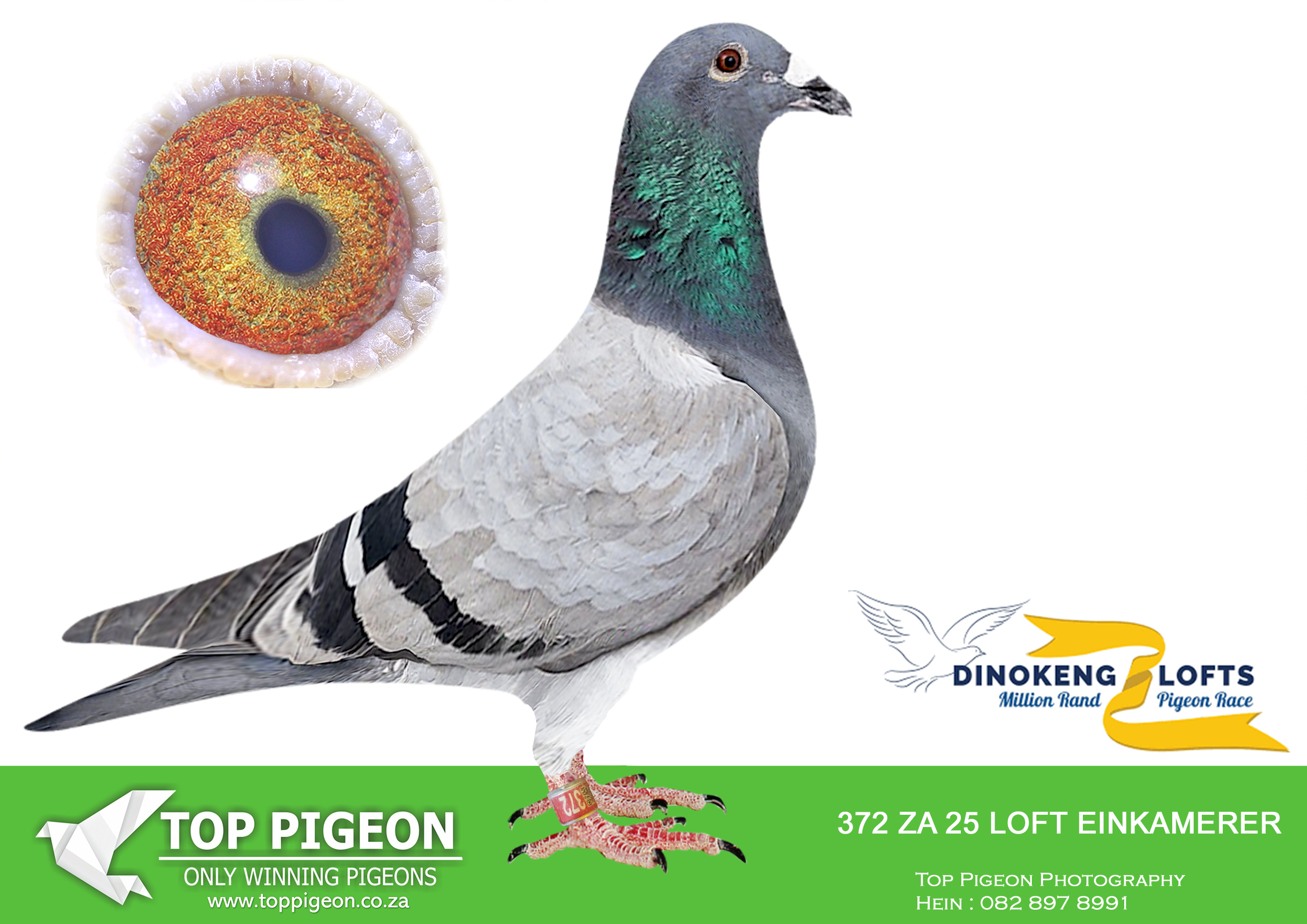 ZZ.. LOT 108 DINOKENG OLR – LOFT EINKAMERER-ZA LOFT EINKAMERER 25- 372 –