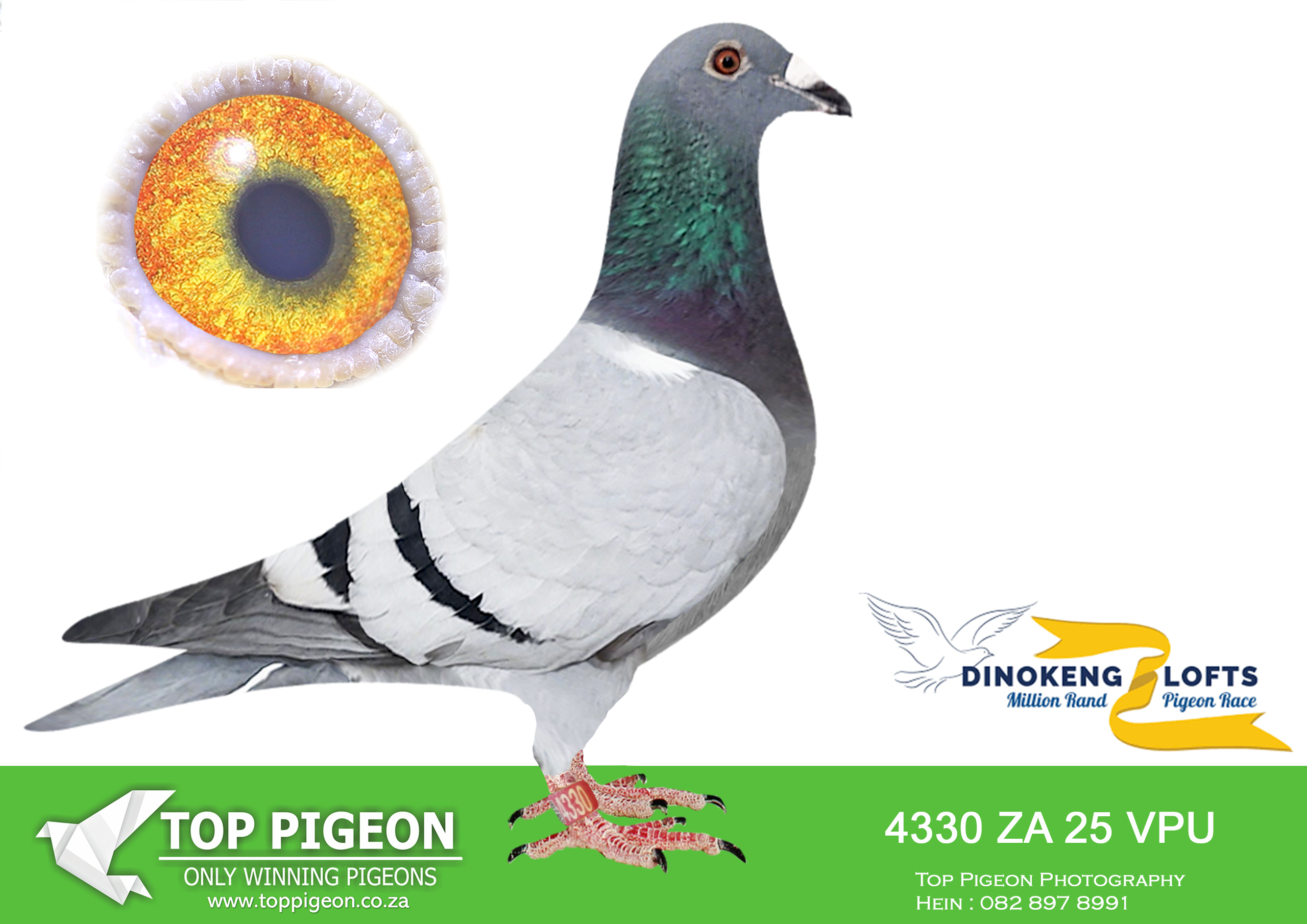 LOT 12 DINOKENG OLR – OOA & RVV-ZA VPU 25- 4330 –