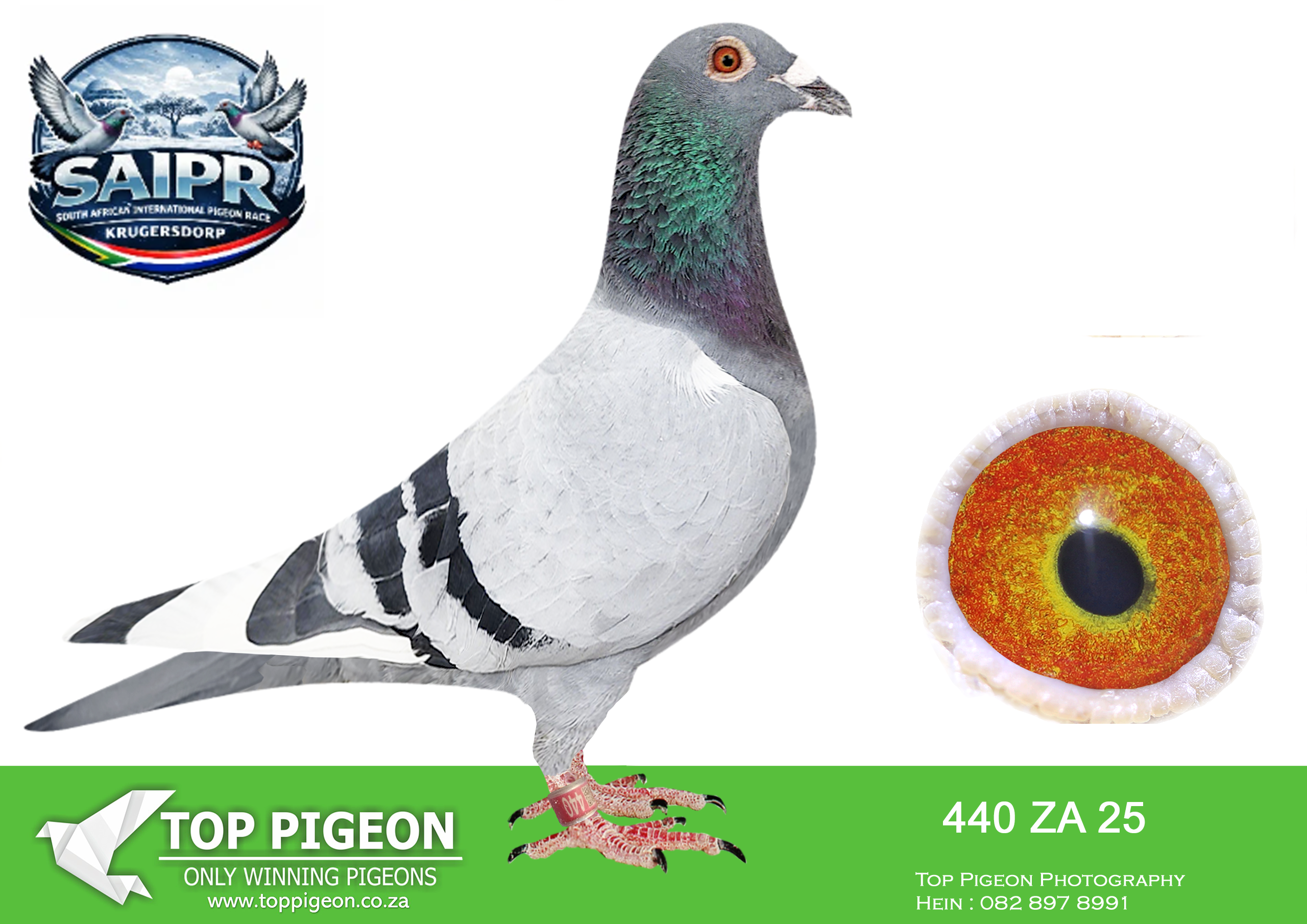 LOT 93 SAIPR OLR AUCTION 2 -Willie de Jager 2-ZA 440 2025 –